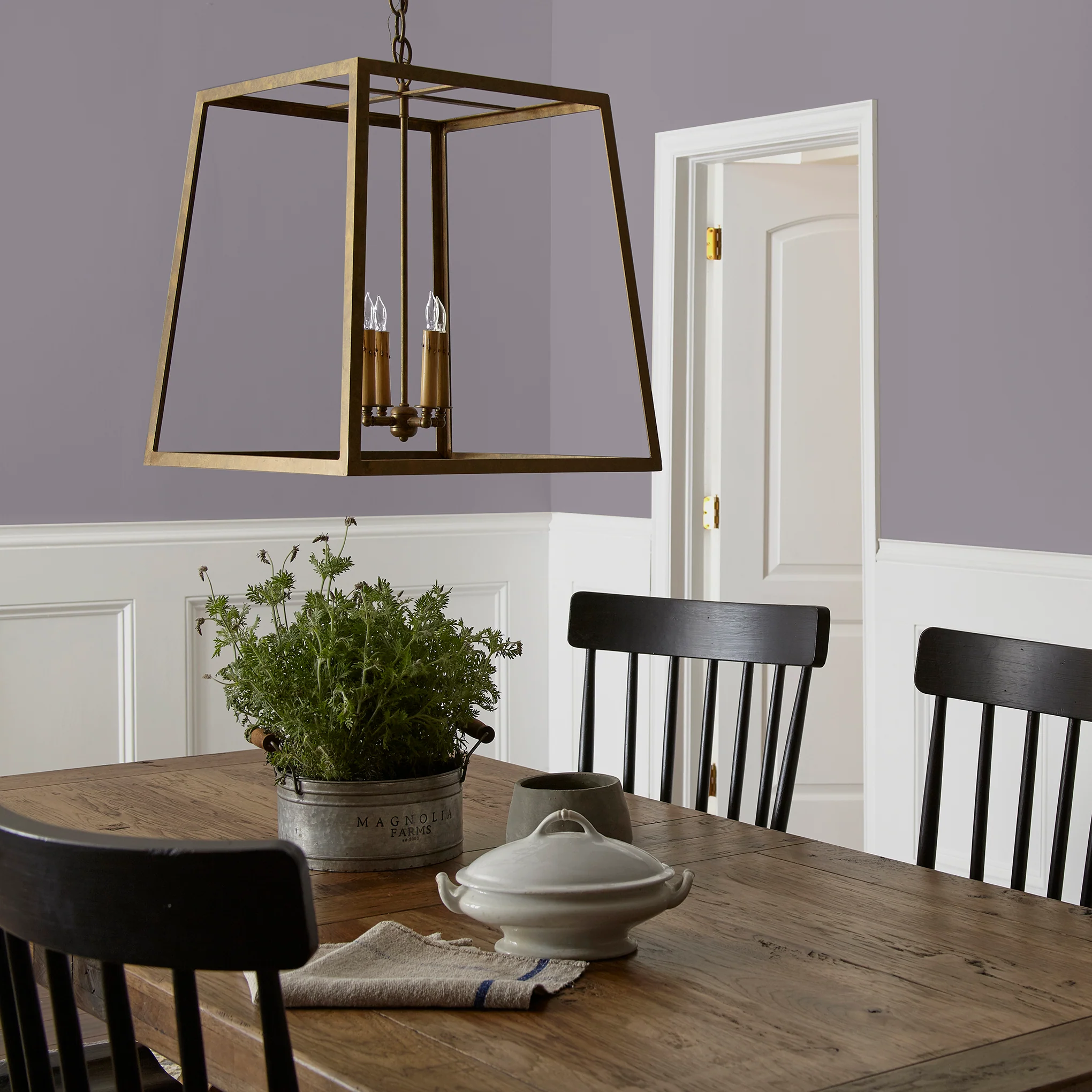 Pashmina Plum  -  Premium Interior Paint - Image 5