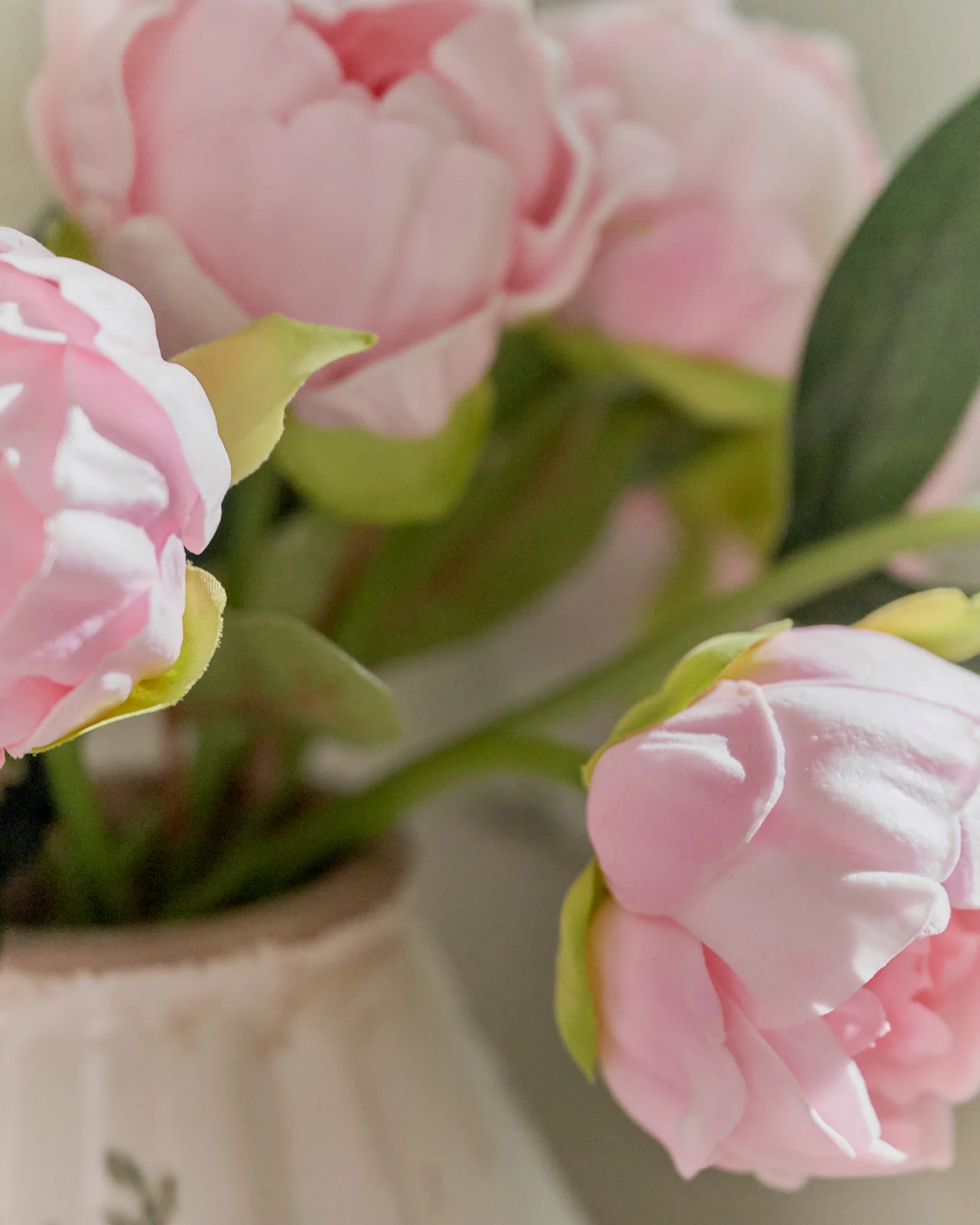 Peony Bundle - Image 4