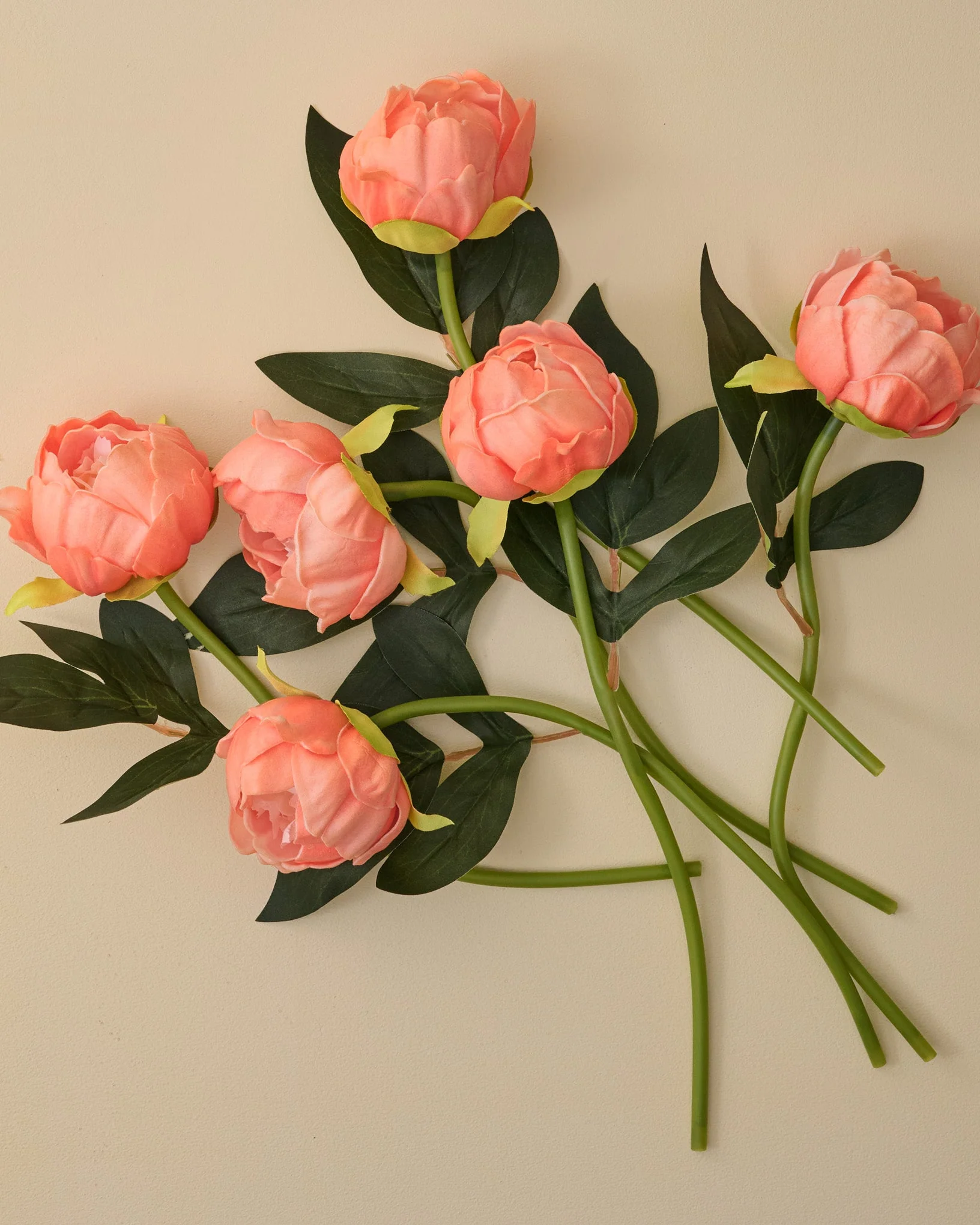 Peony Bundle - Image 5