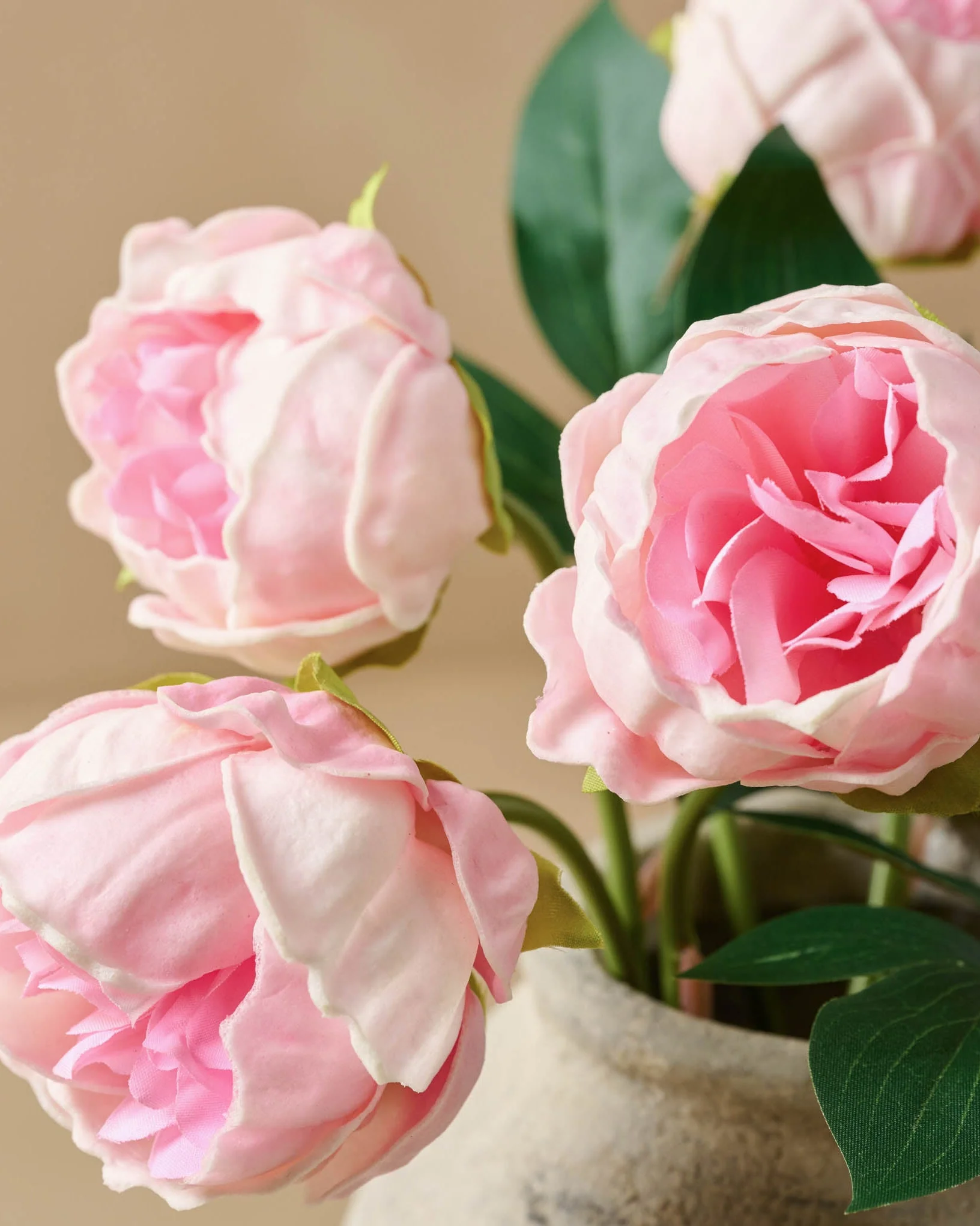 Peony Bundle - Image 7