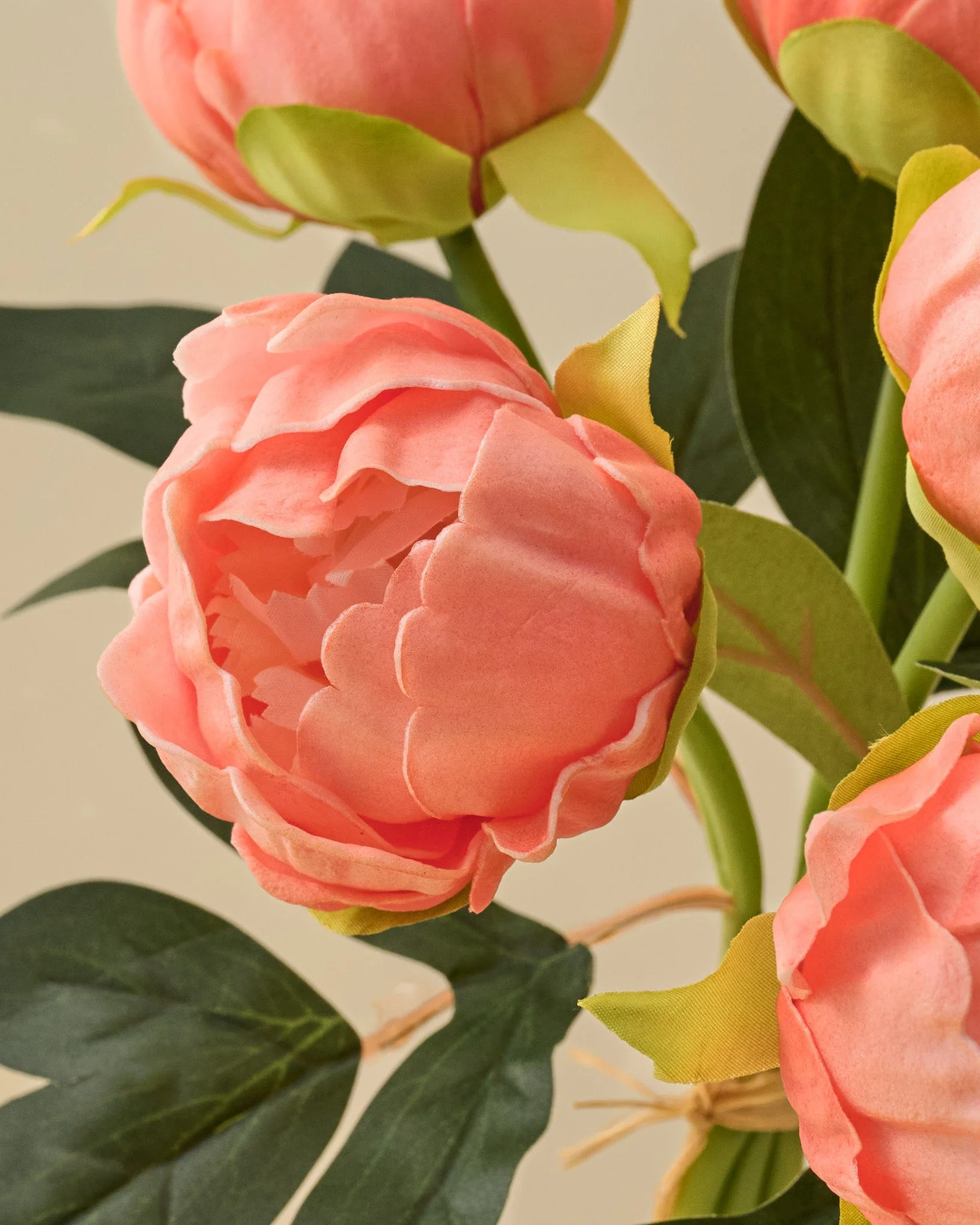 Peony Bundle - Image 8