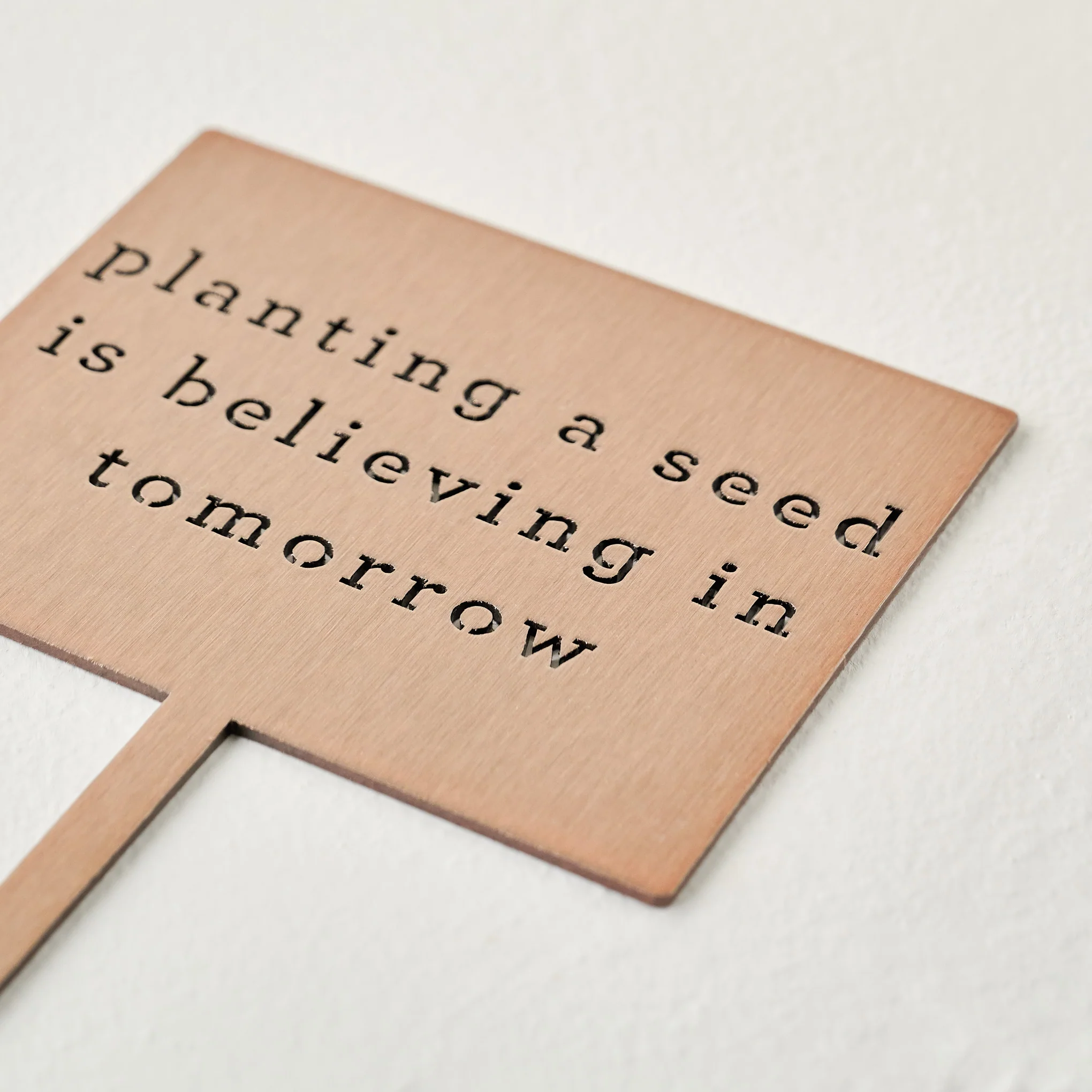 Planting A Seed Mini Garden Stake - Image 3