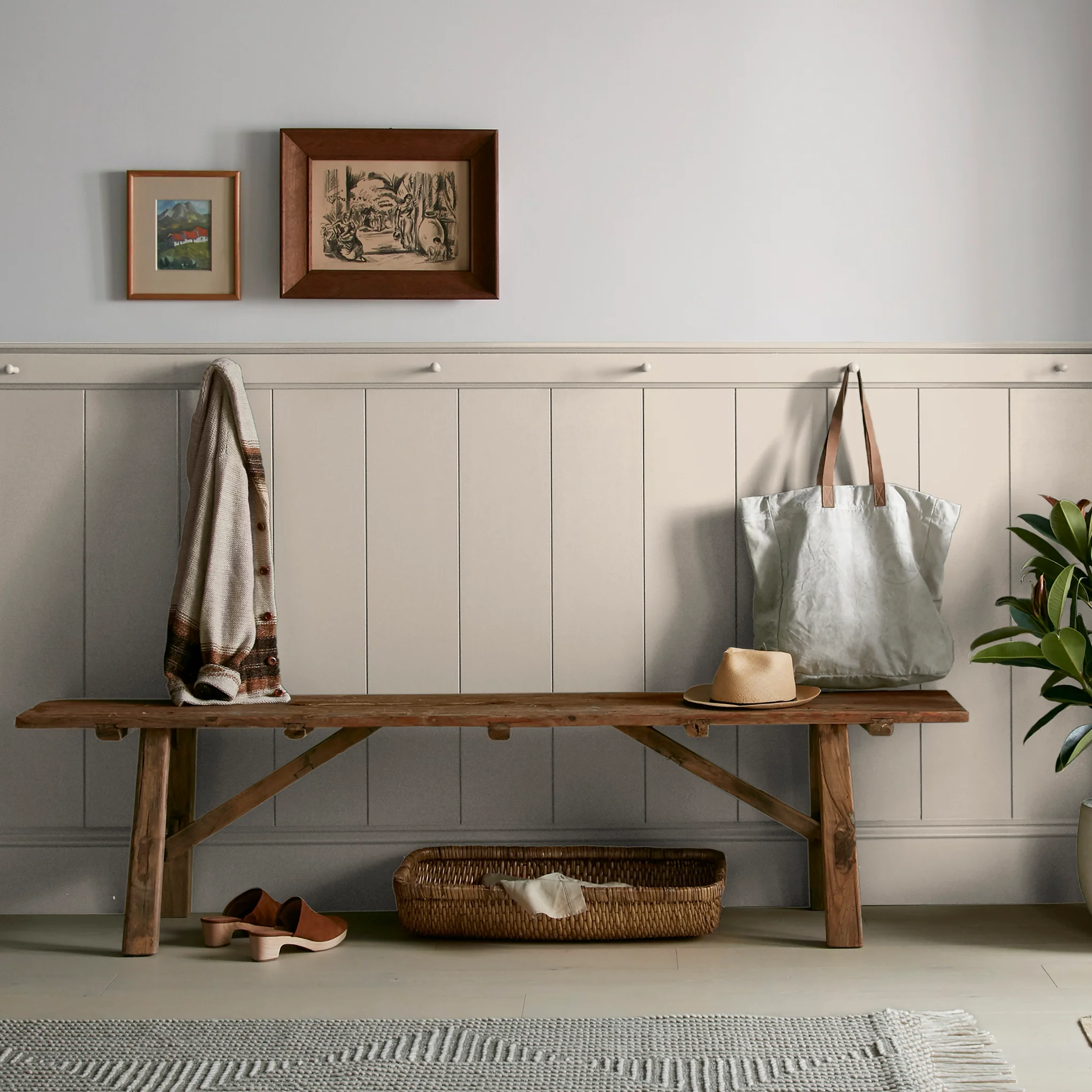 Plaster - Classic Interior Paint - Image 6