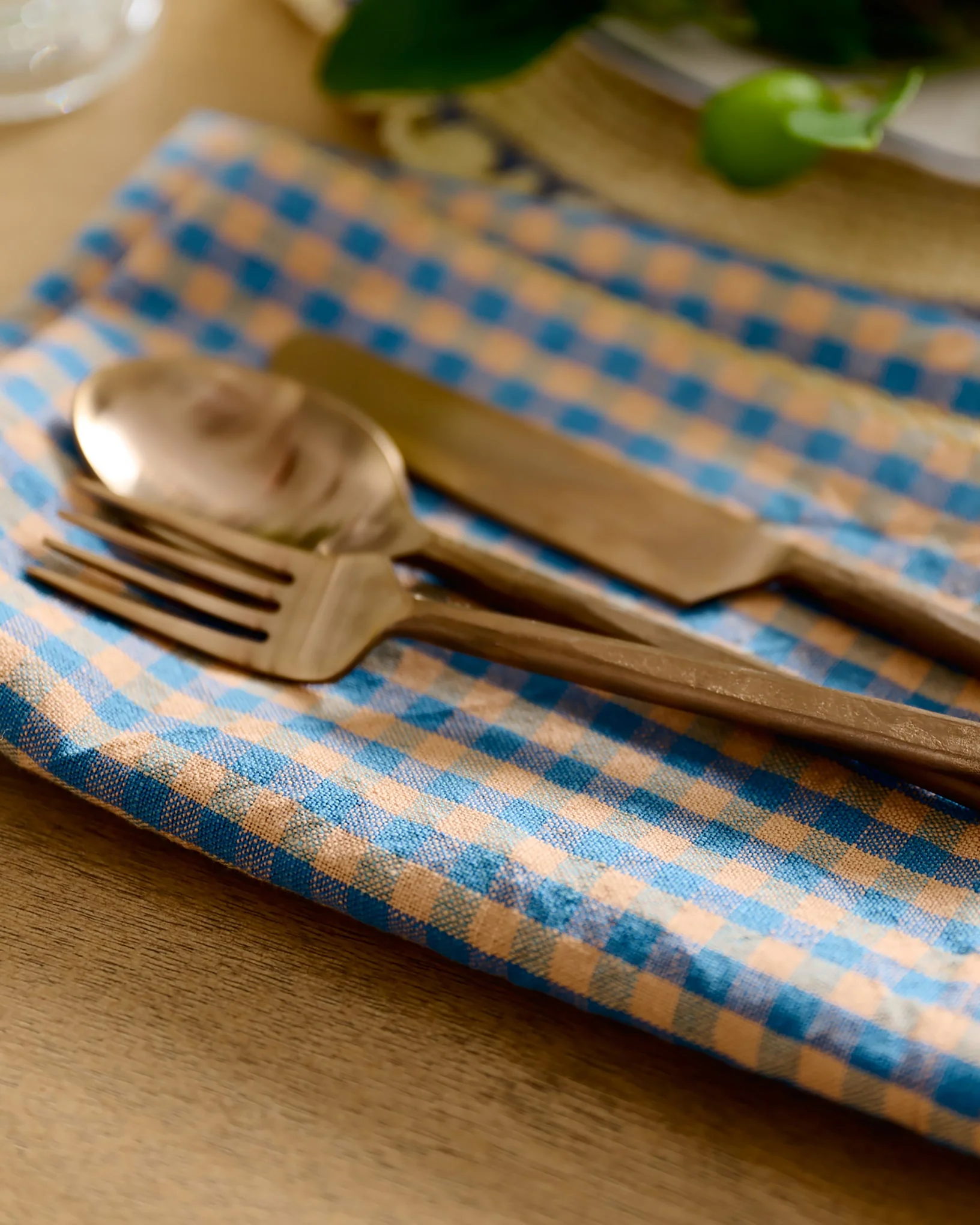 Poolside Check Napkin Set of 4 - Image 2