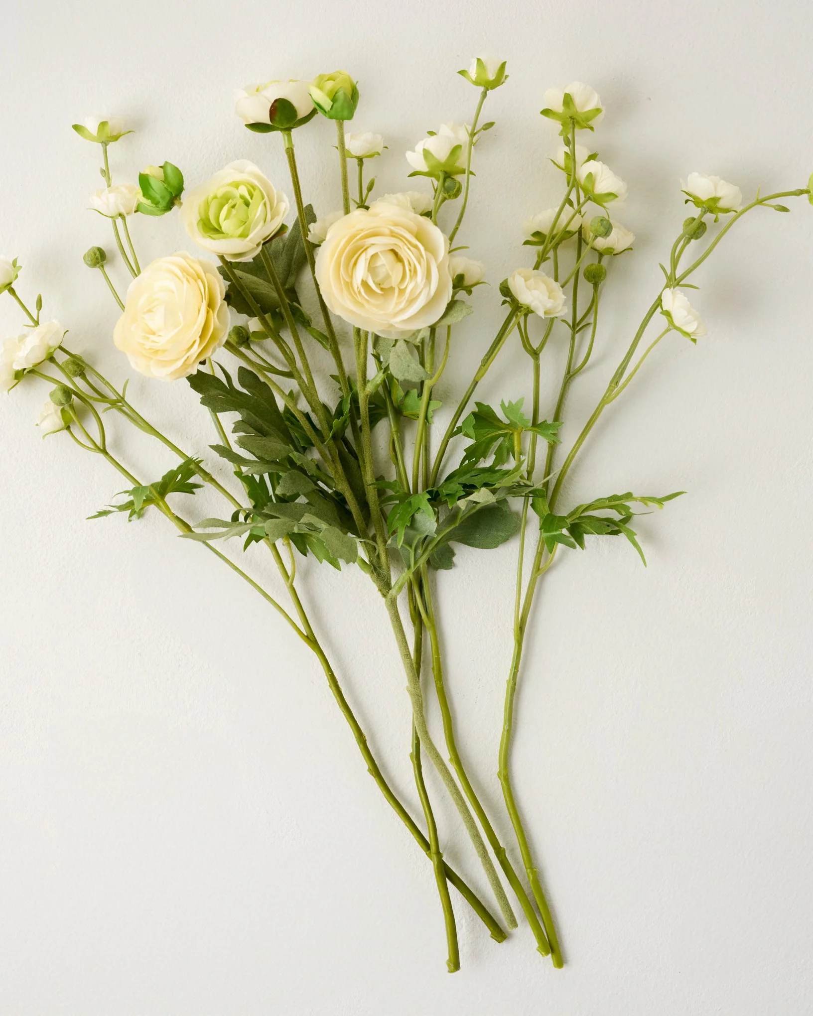 Ranunculus Bloom Bundle - Image 10