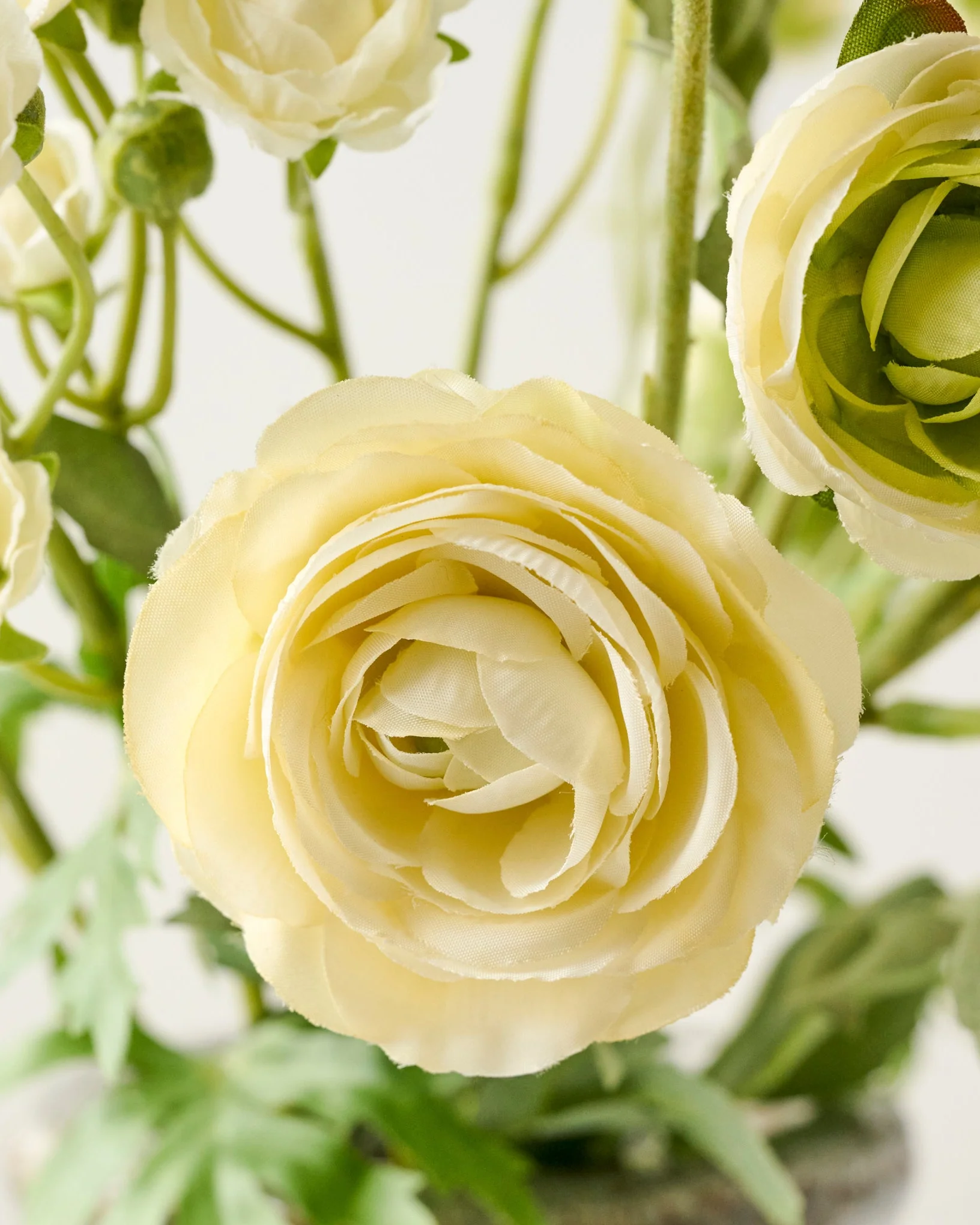 Ranunculus Bloom Bundle - Image 11