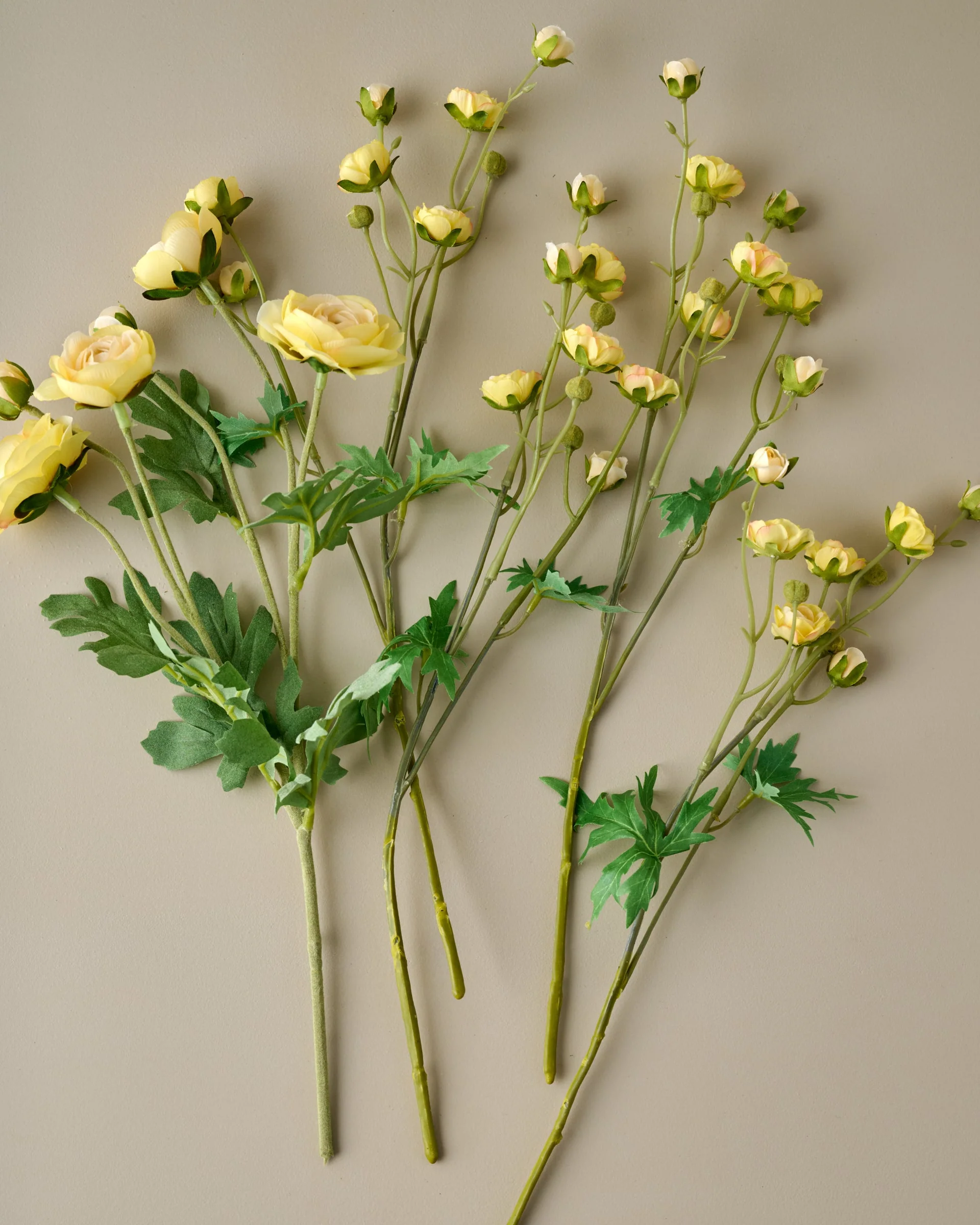 Ranunculus Bloom Bundle - Image 13