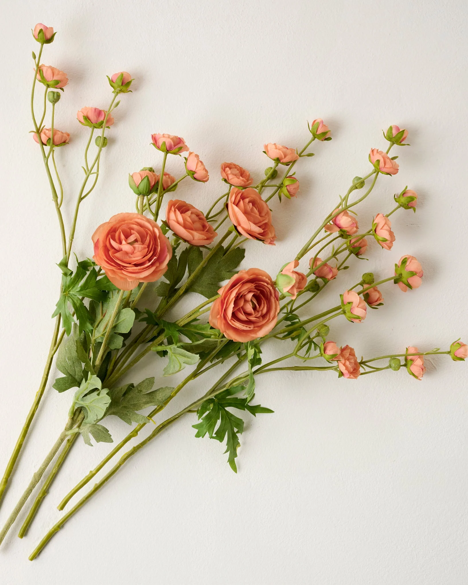 Ranunculus Bloom Bundle - Image 3