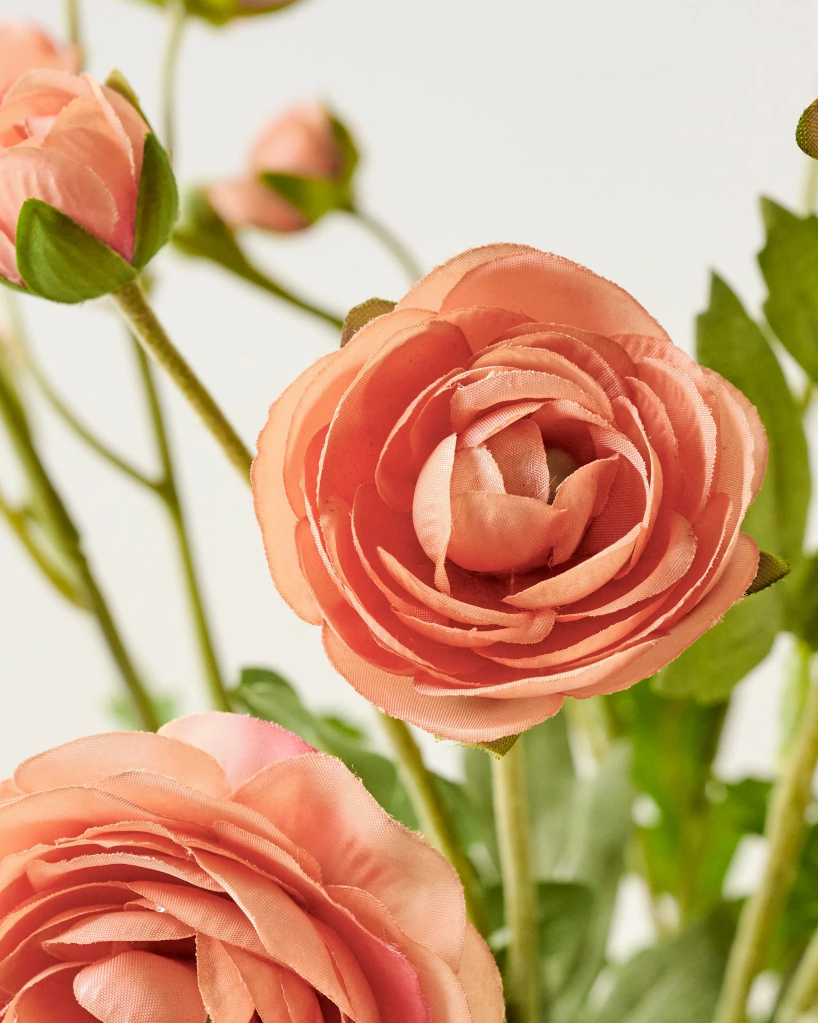 Ranunculus Bloom Bundle - Image 4