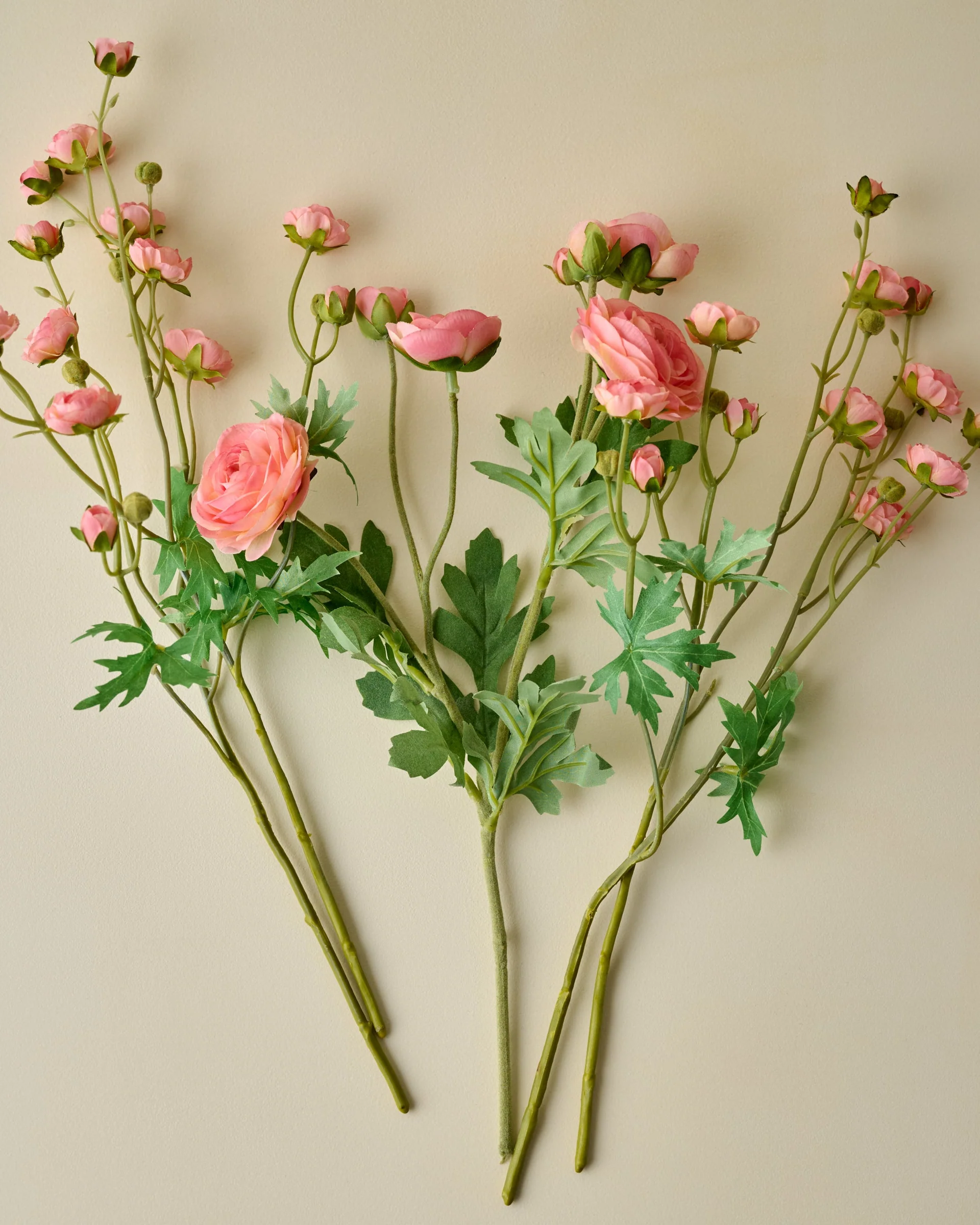 Ranunculus Bloom Bundle - Image 6