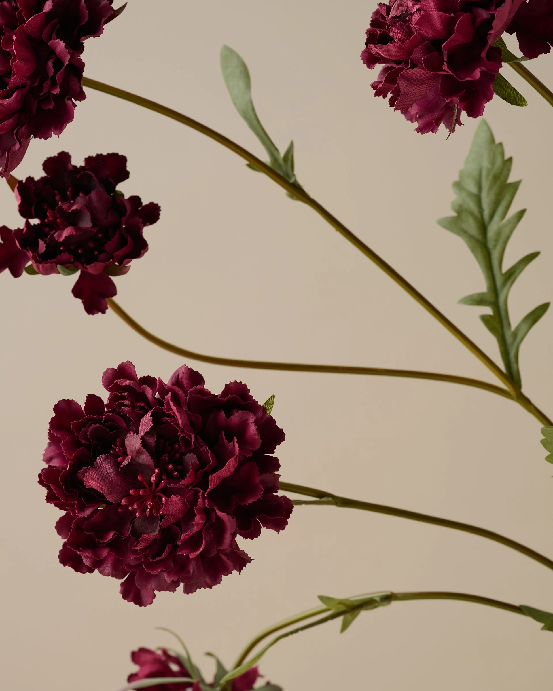 Real Touch Red Velvet Scabiosa Stem - Image 3