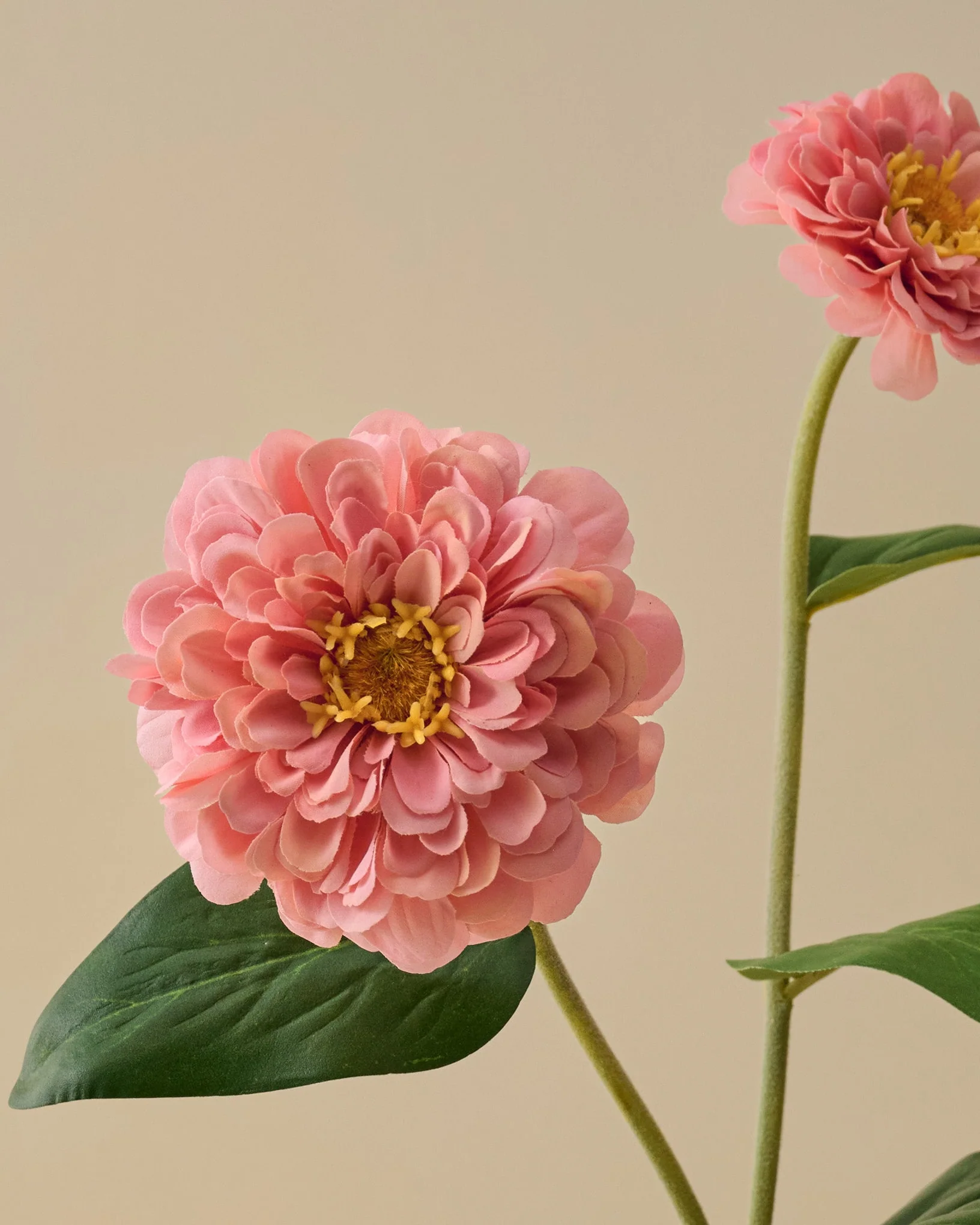 Real Touch Zinnia Stem - Image 10