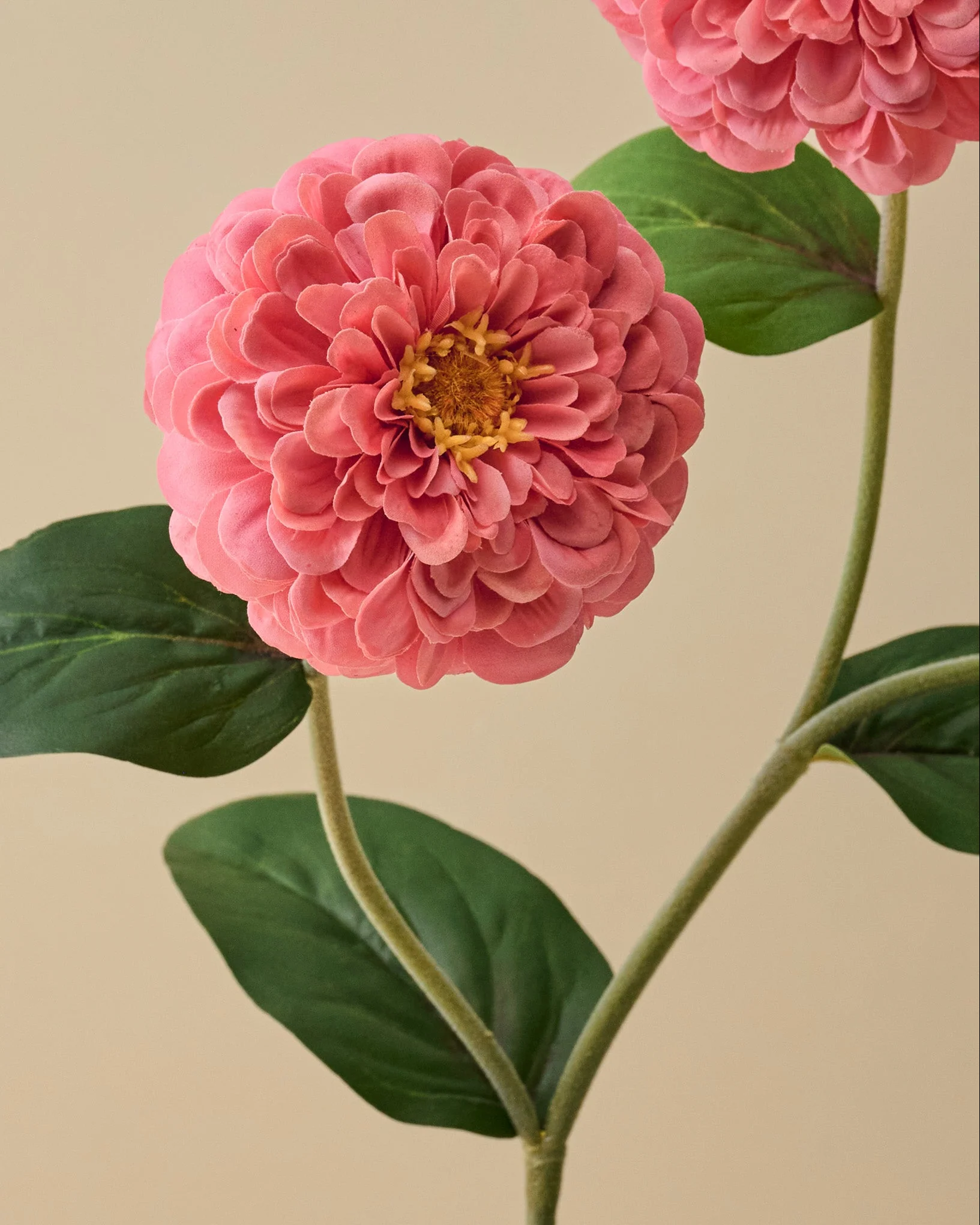 Real Touch Zinnia Stem - Image 5