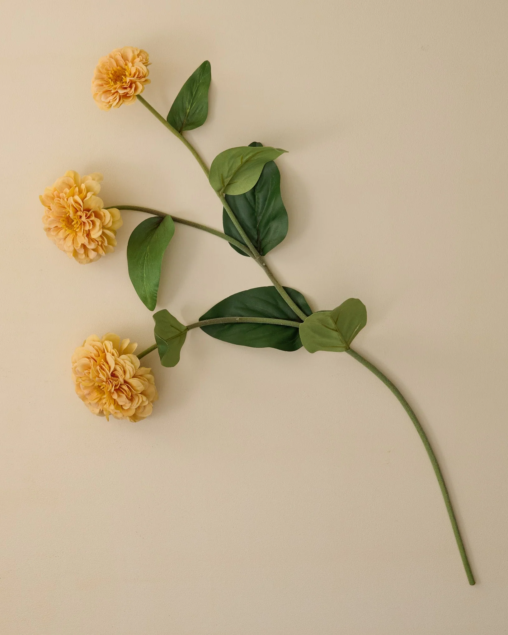Real Touch Zinnia Stem - Image 7