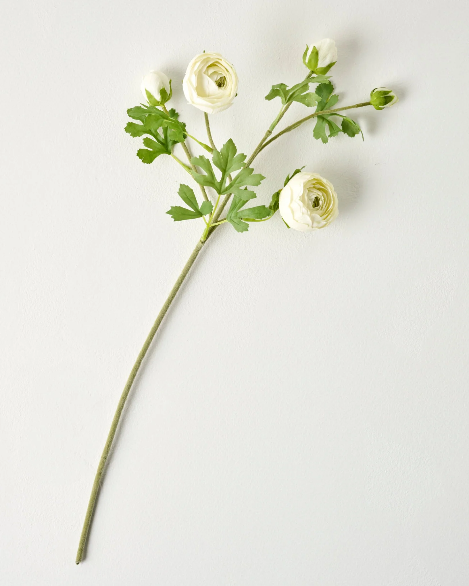 Real Touch Ranunculus Stem - Image 2
