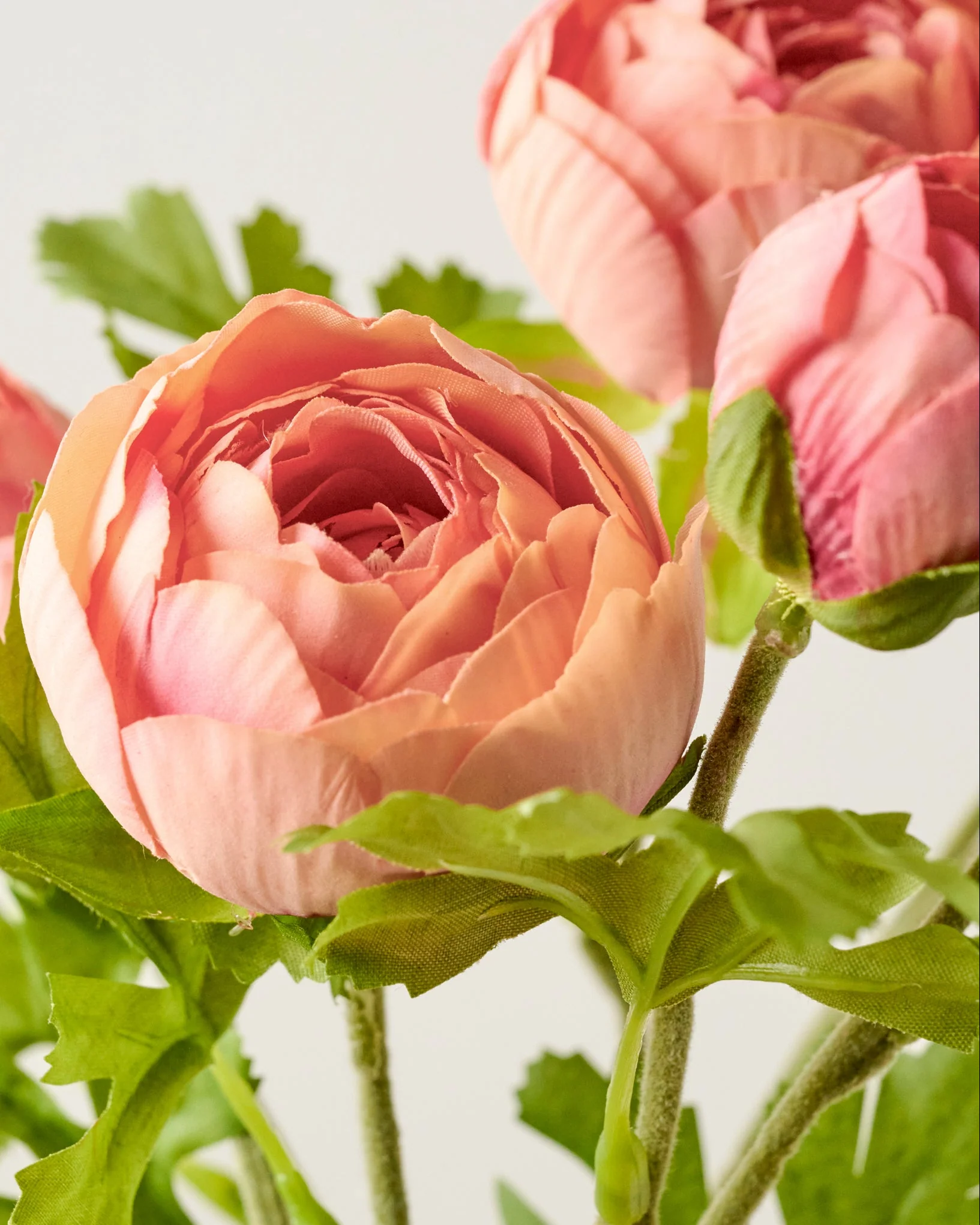 Real Touch Ranunculus Stem - Image 5