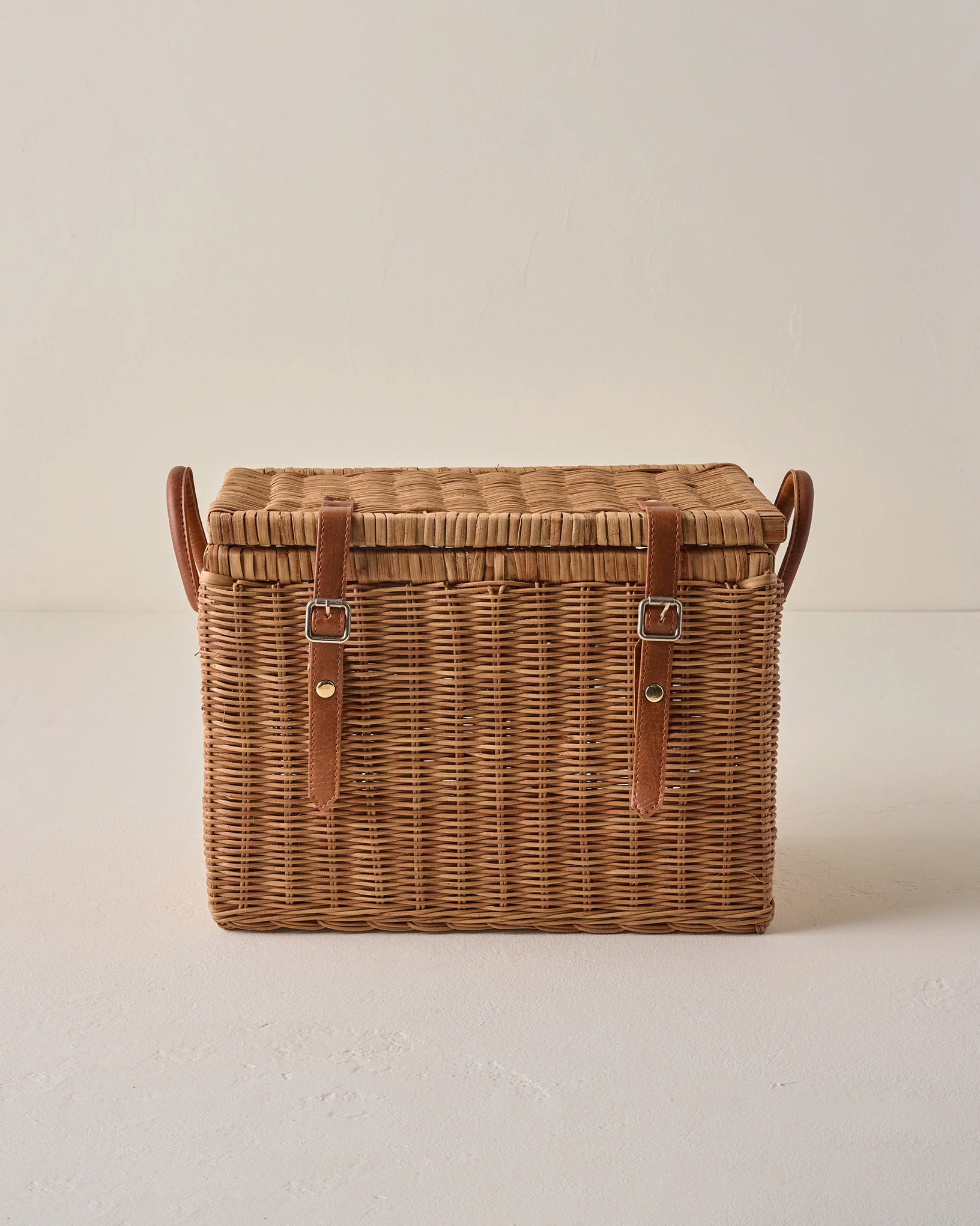 Reid Woven Storage Trunk with Leather Handles - Image 3