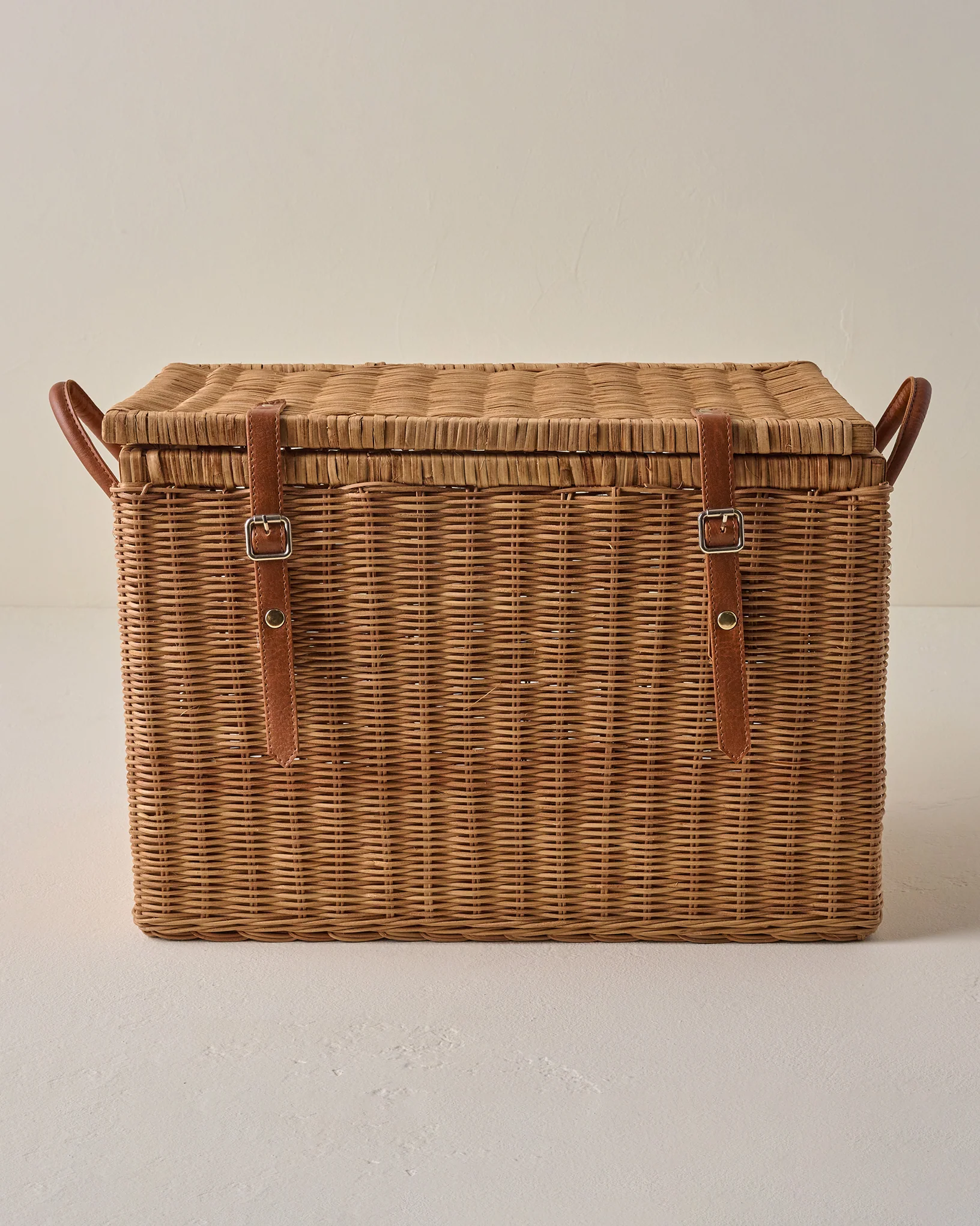 Reid Woven Storage Trunk with Leather Handles - Image 4