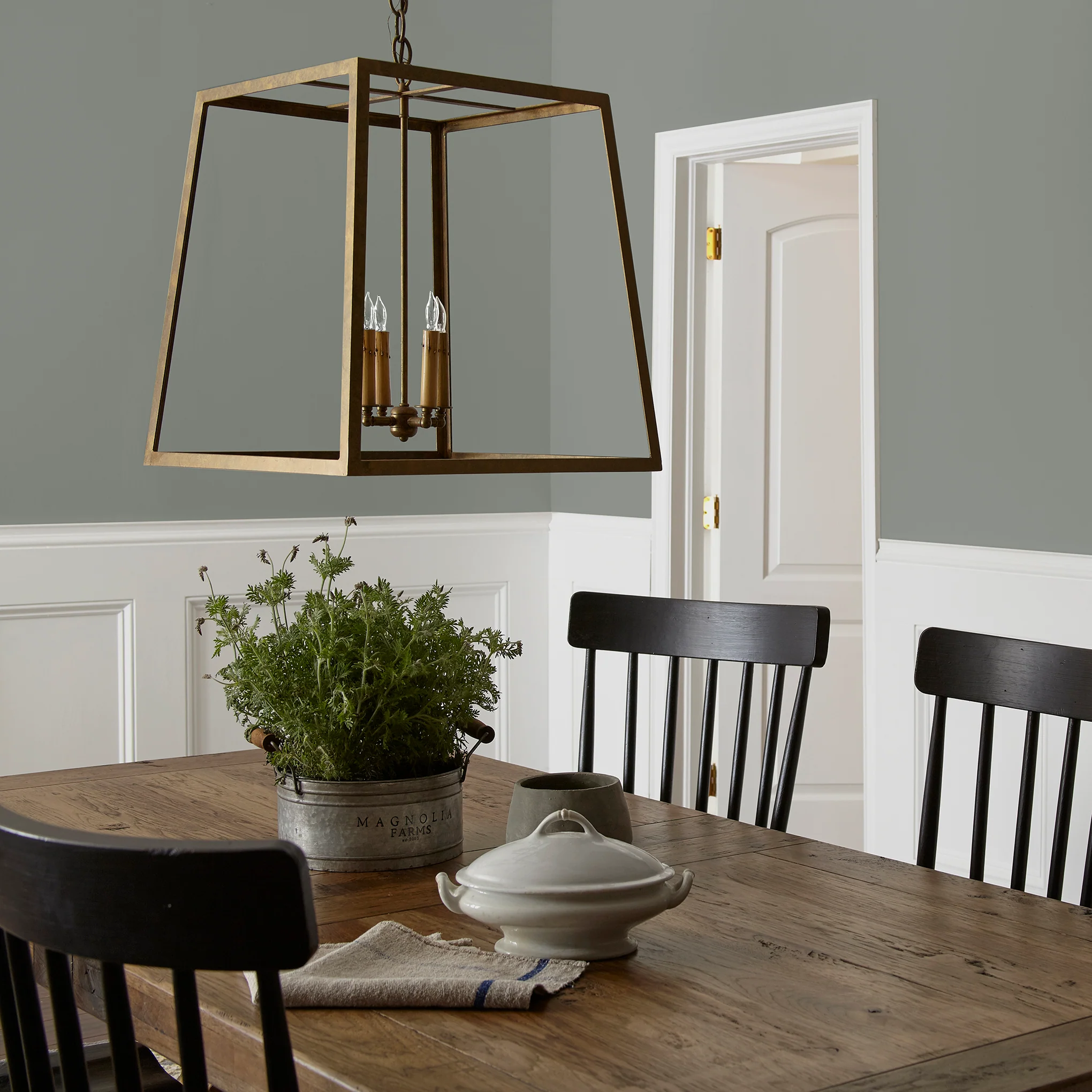 Sage Stem - Classic Interior Paint - Image 5