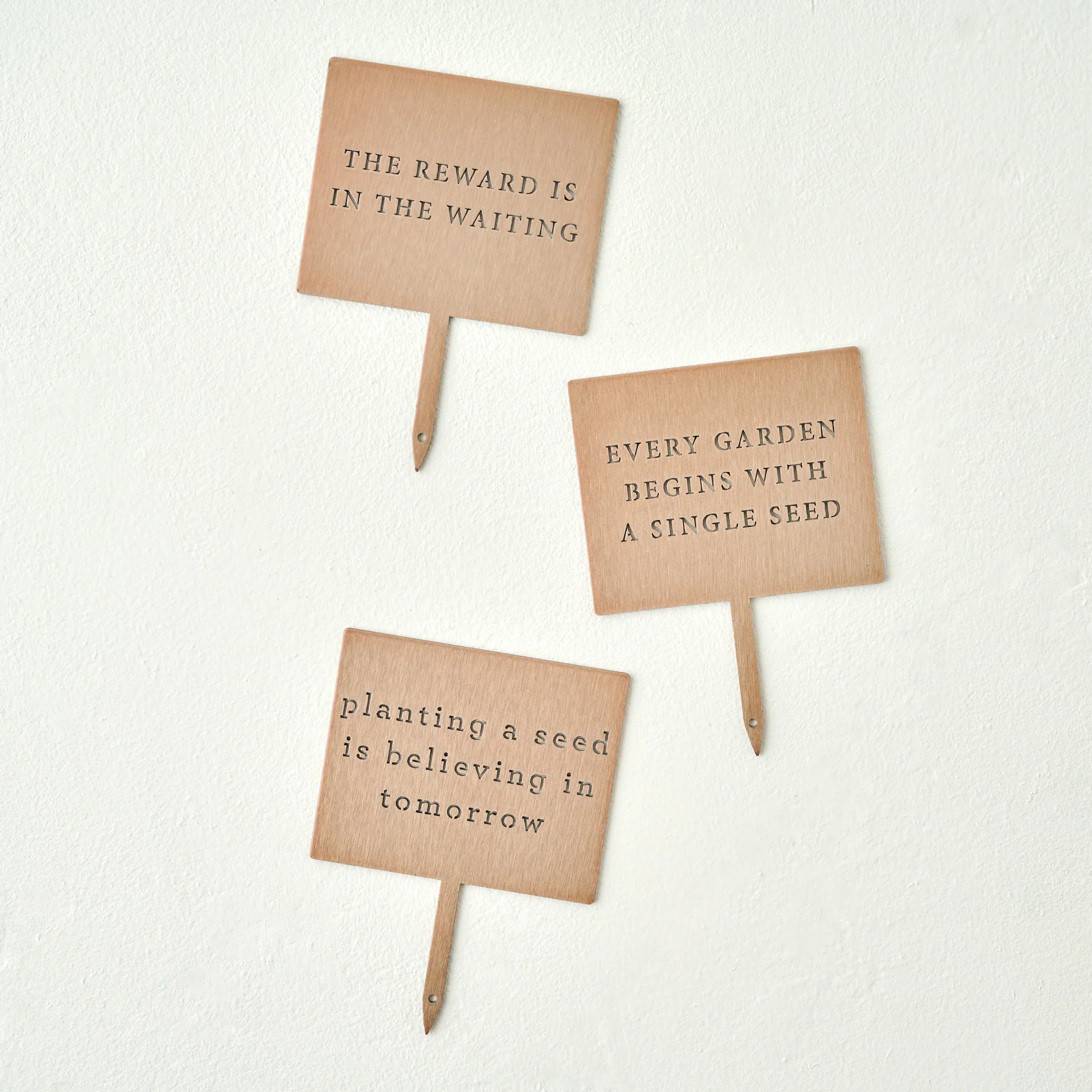 Single Seed Mini Garden Stake - Image 4