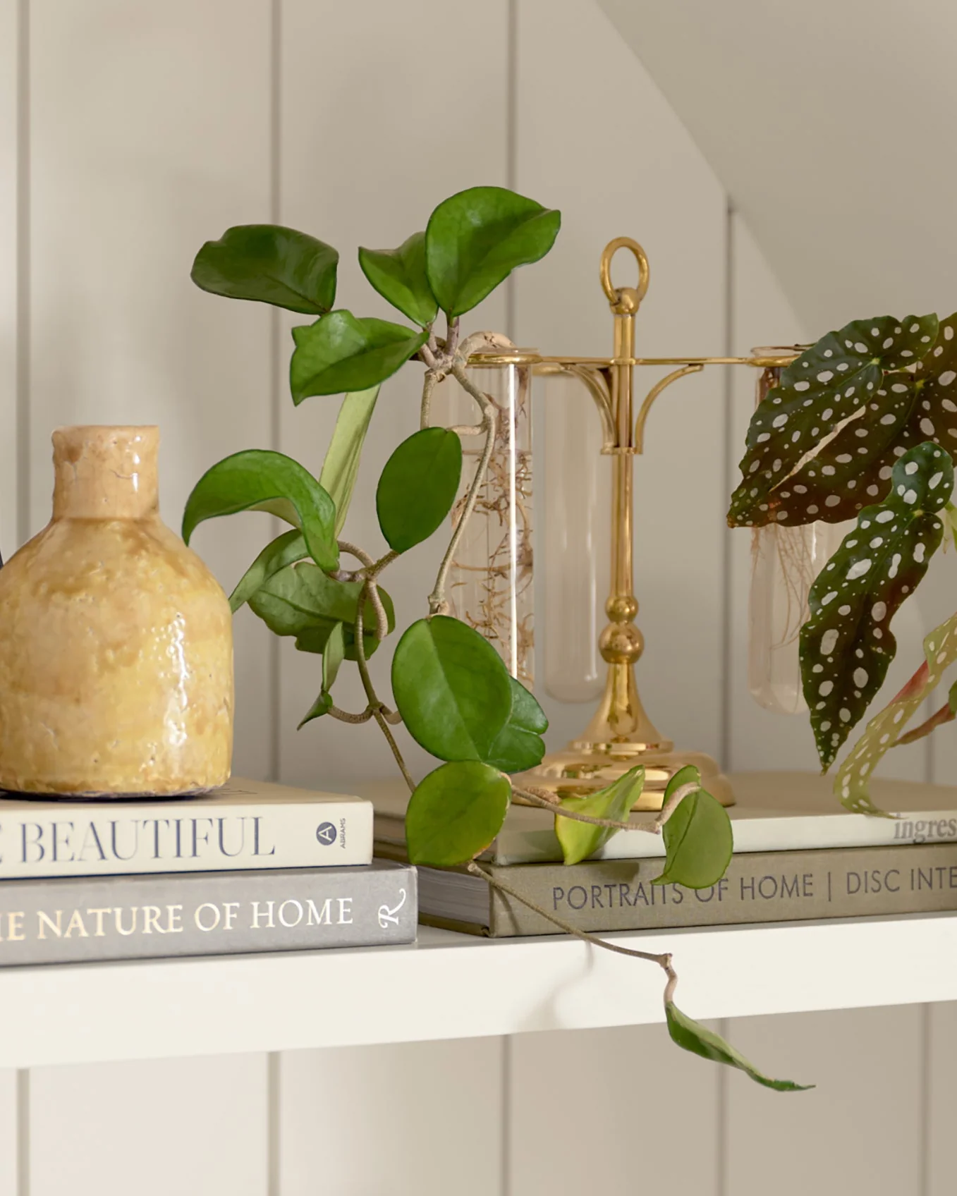 Solid Brass Antique Inspired Propagation Stand - Image 2