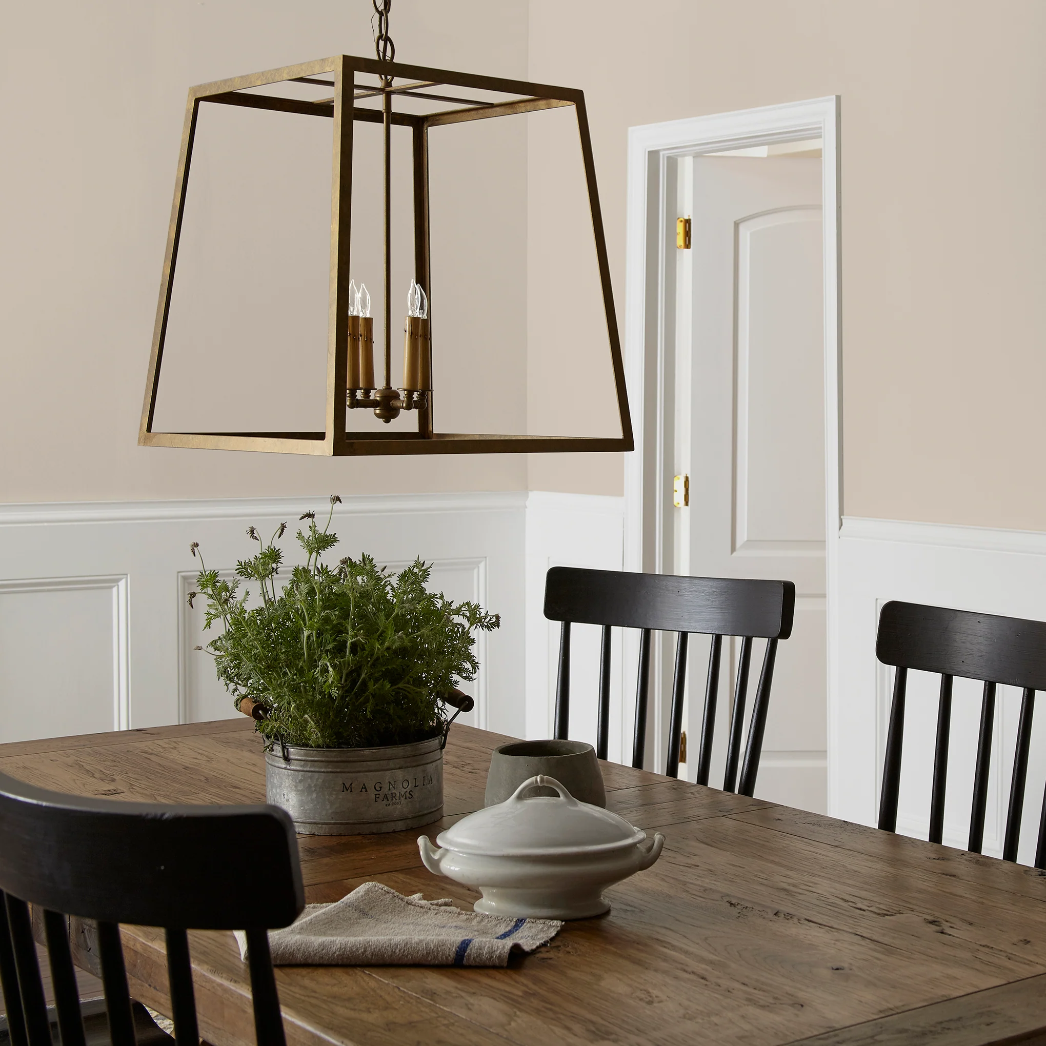 Southern Grown -  Classic Interior Paint - Image 5