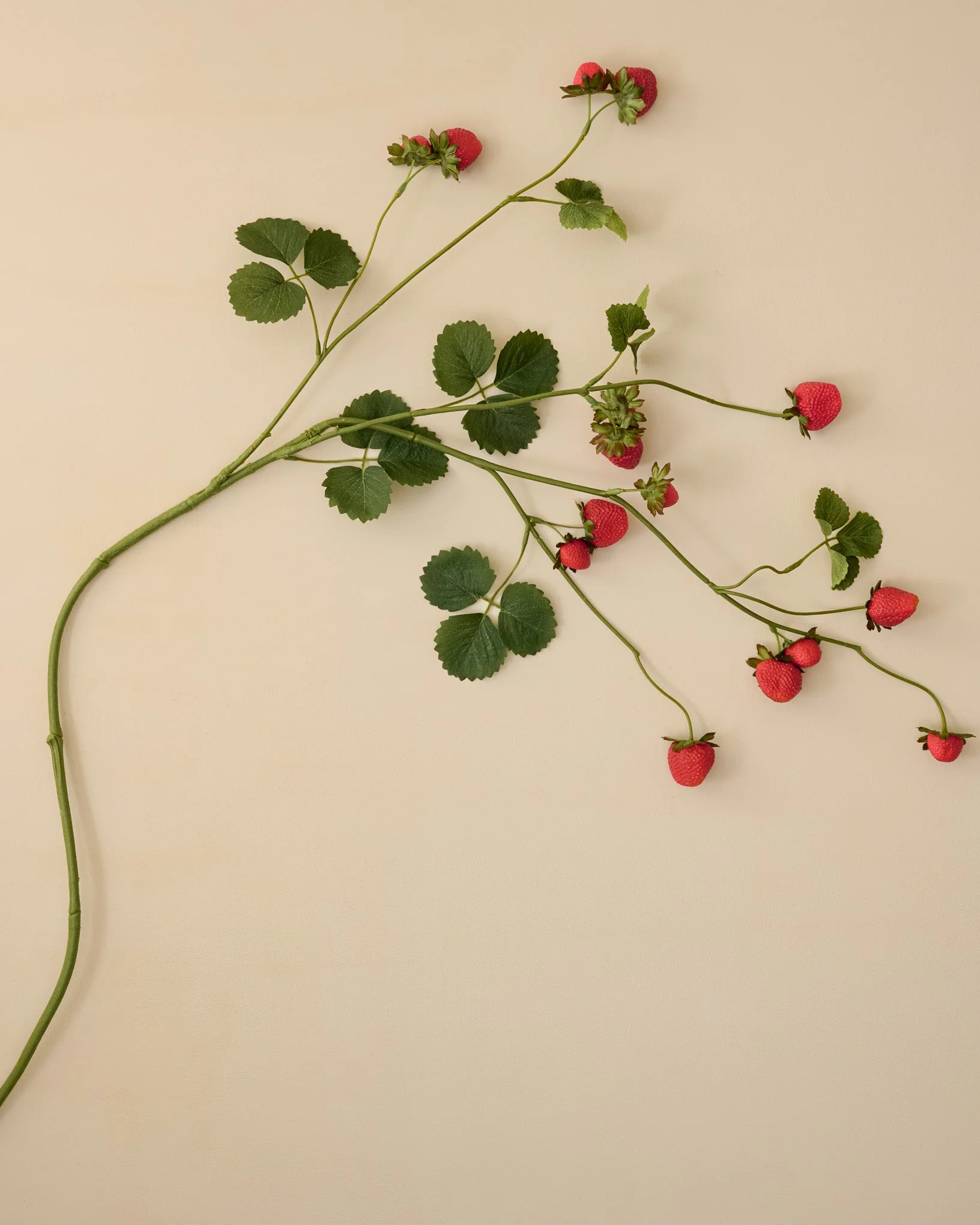 Strawberry Stem - Image 2