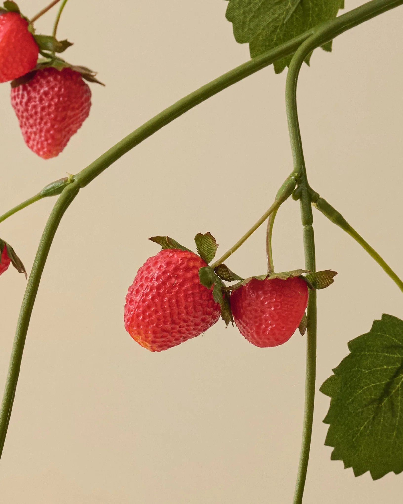 Strawberry Stem - Image 3