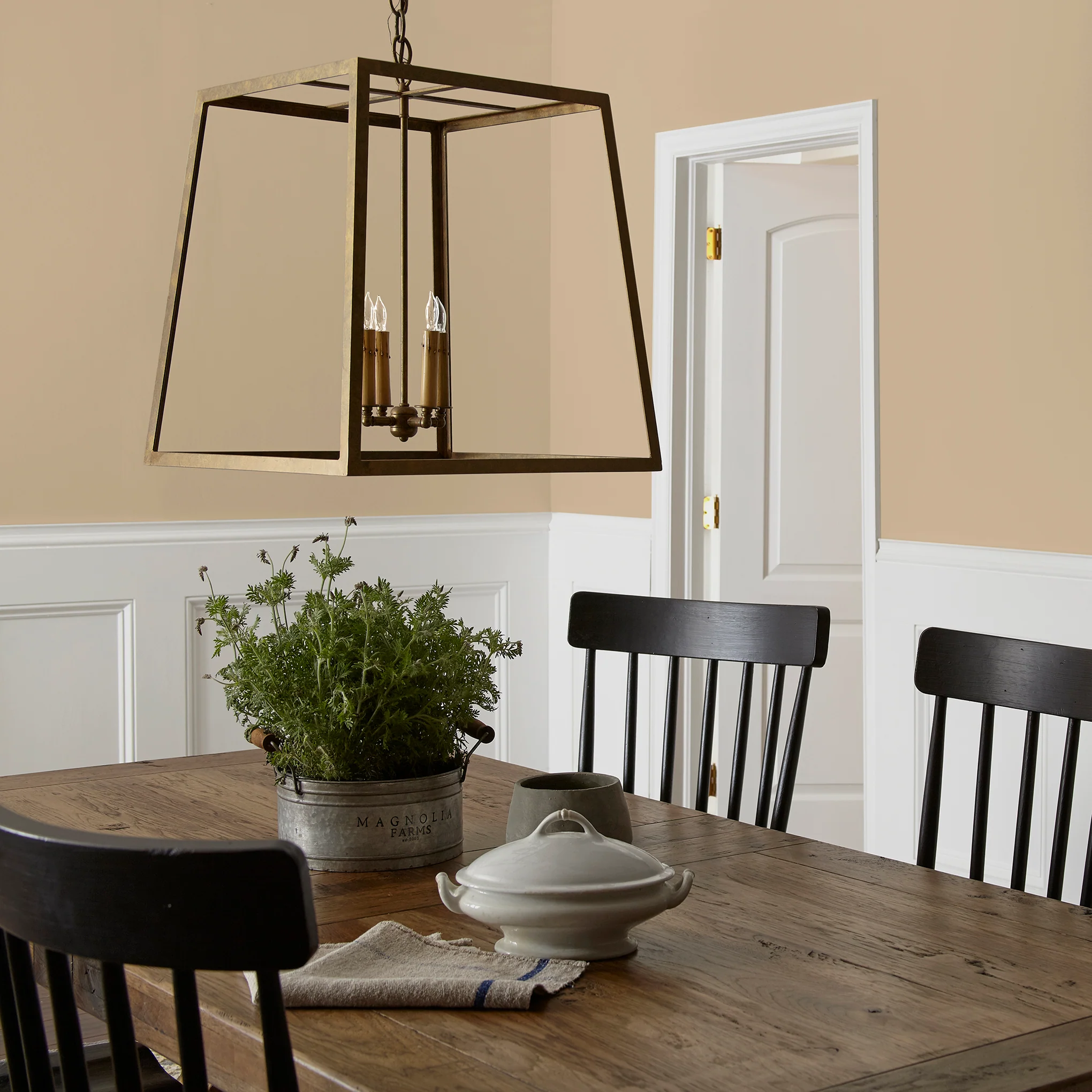 Summer Pear - Classic Interior Paint - Image 5