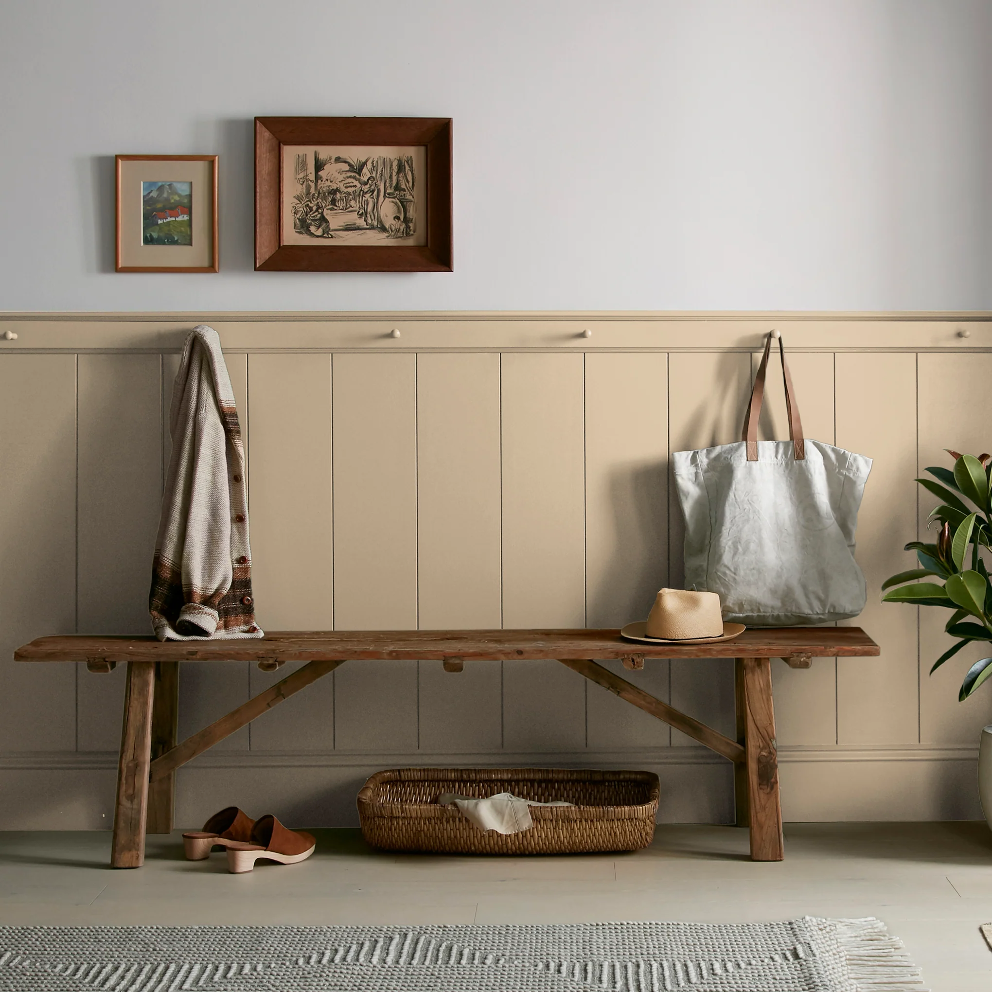 Summer Pear - Classic Interior Paint - Image 6