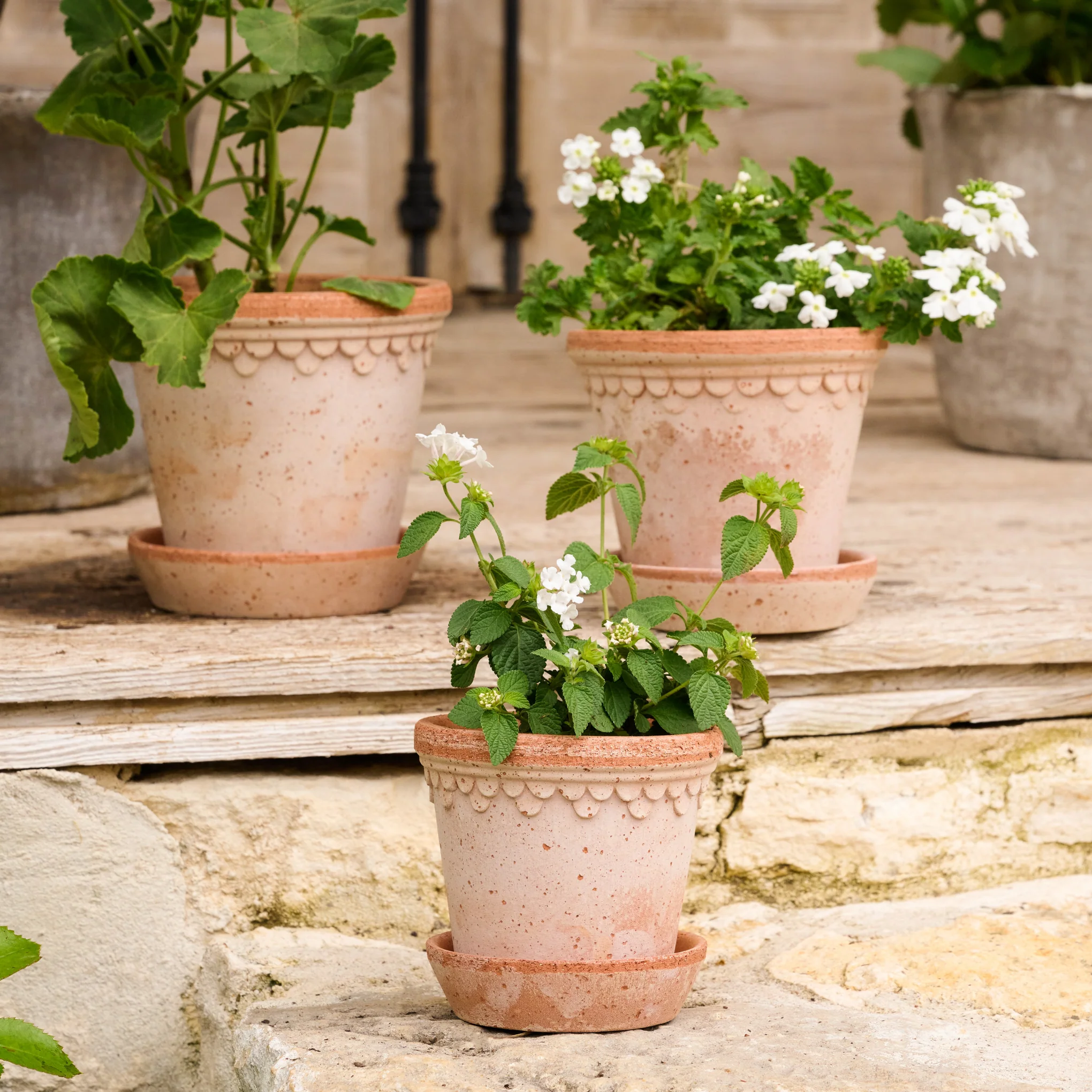 Terracotta Bergs Pot - Image 2