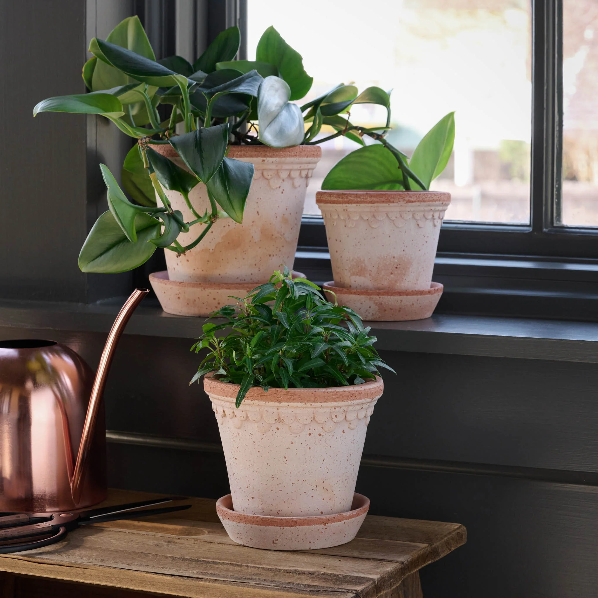 Terracotta Bergs Pot - Image 3