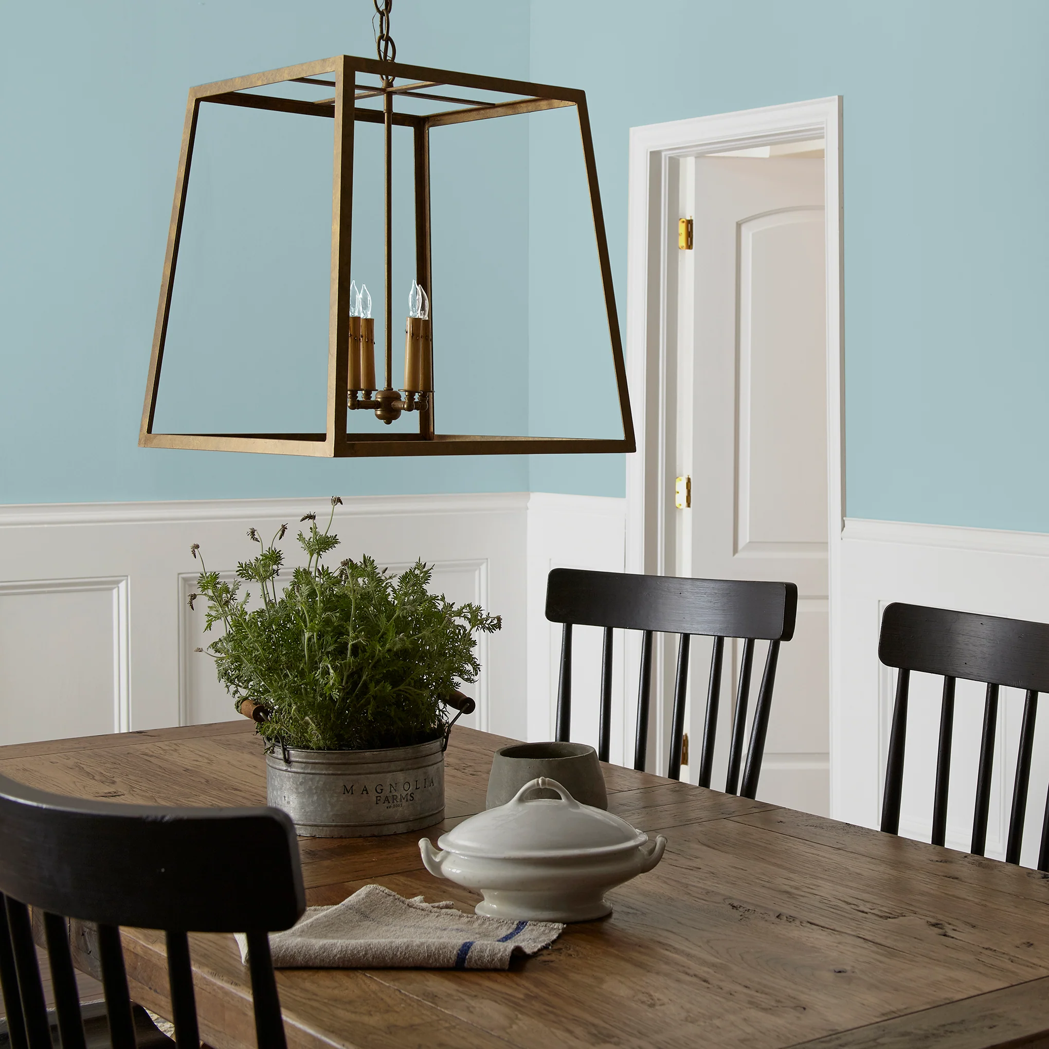 Vibrant Horizon - Classic Interior Paint - Image 5