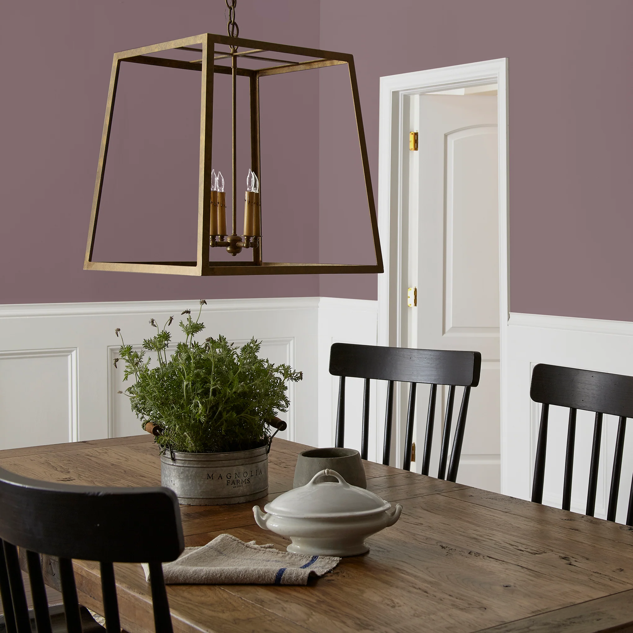 Webster Avenue -  Classic Interior Paint - Image 5