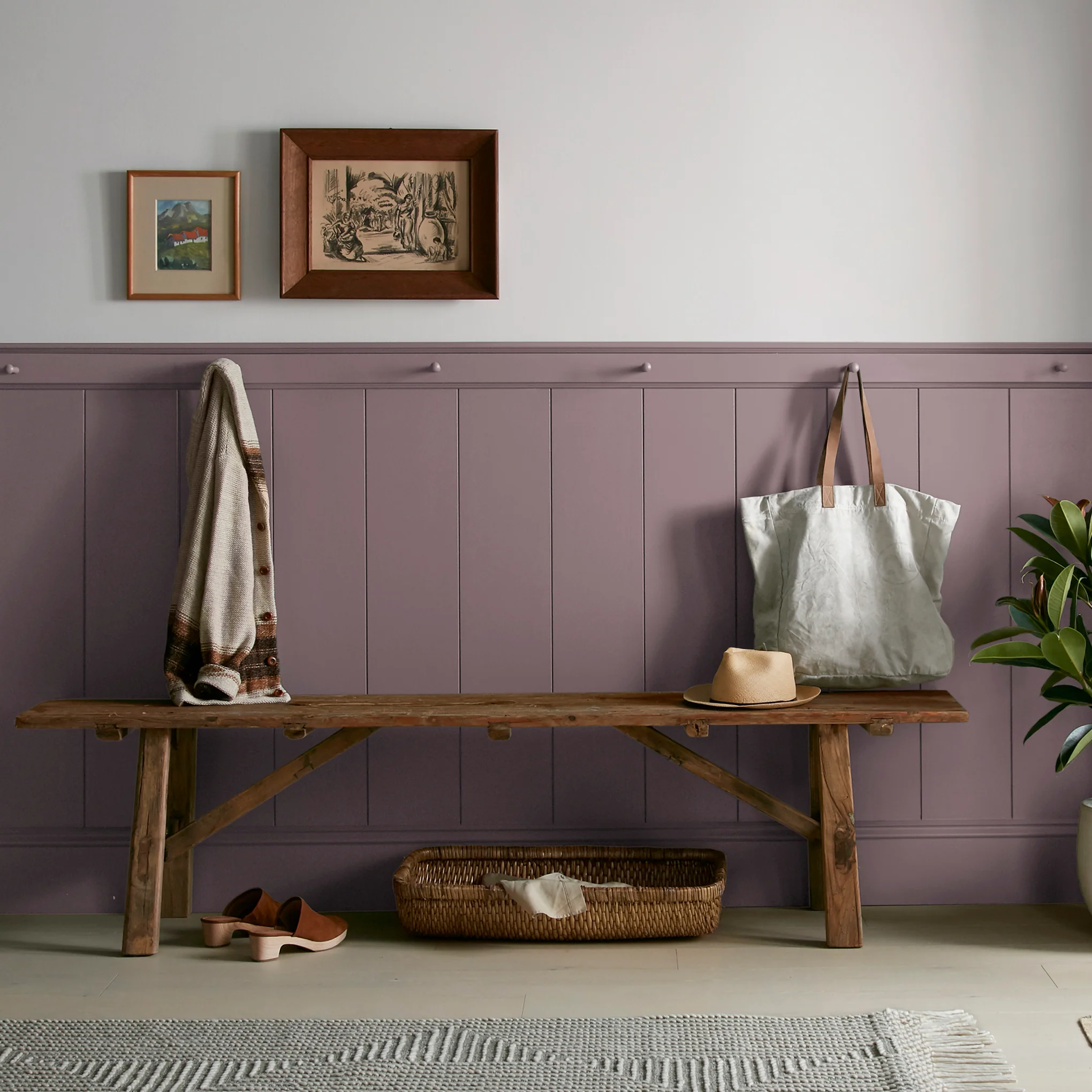 Webster Avenue -  Classic Interior Paint - Image 6
