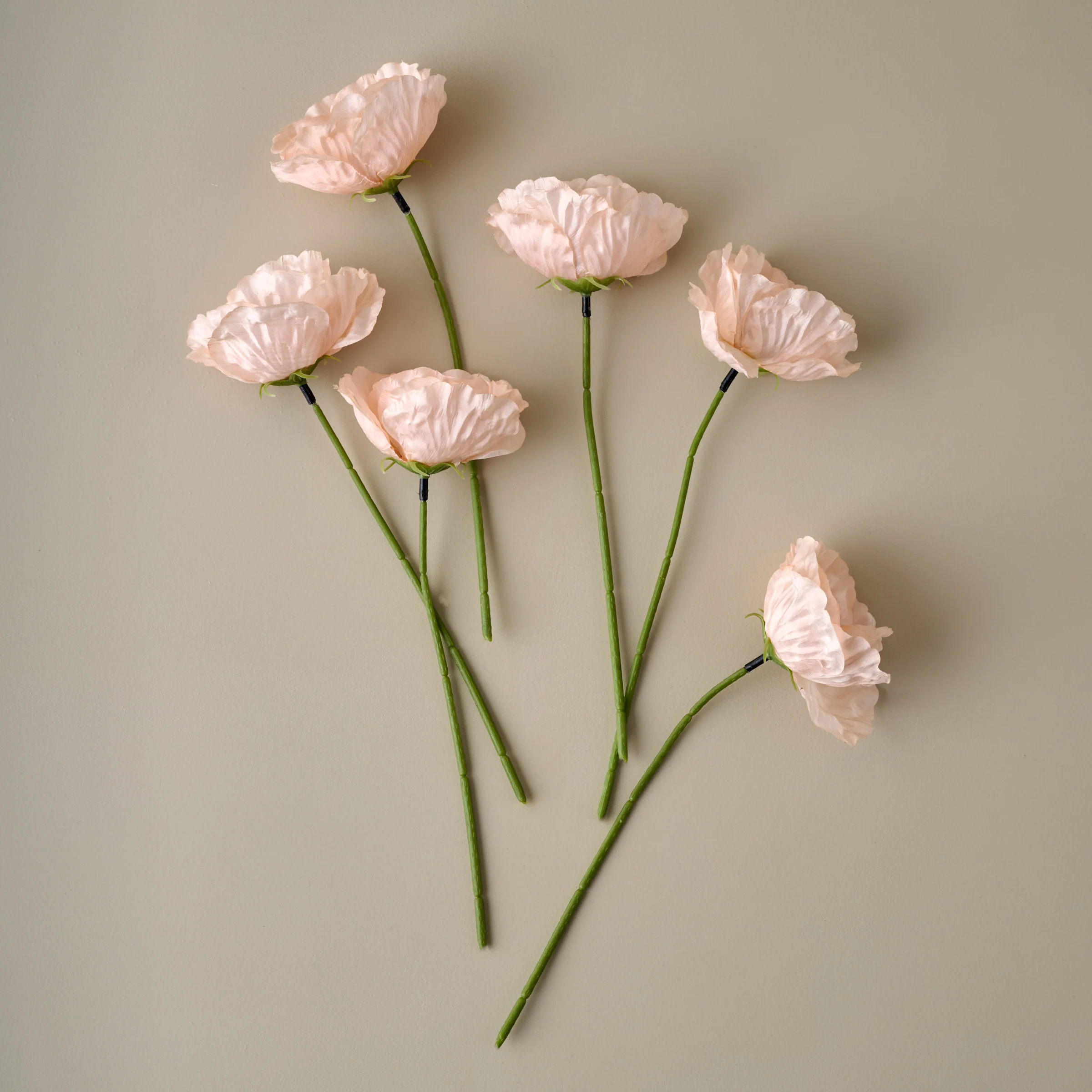 Anemone Bouquet - Image 7