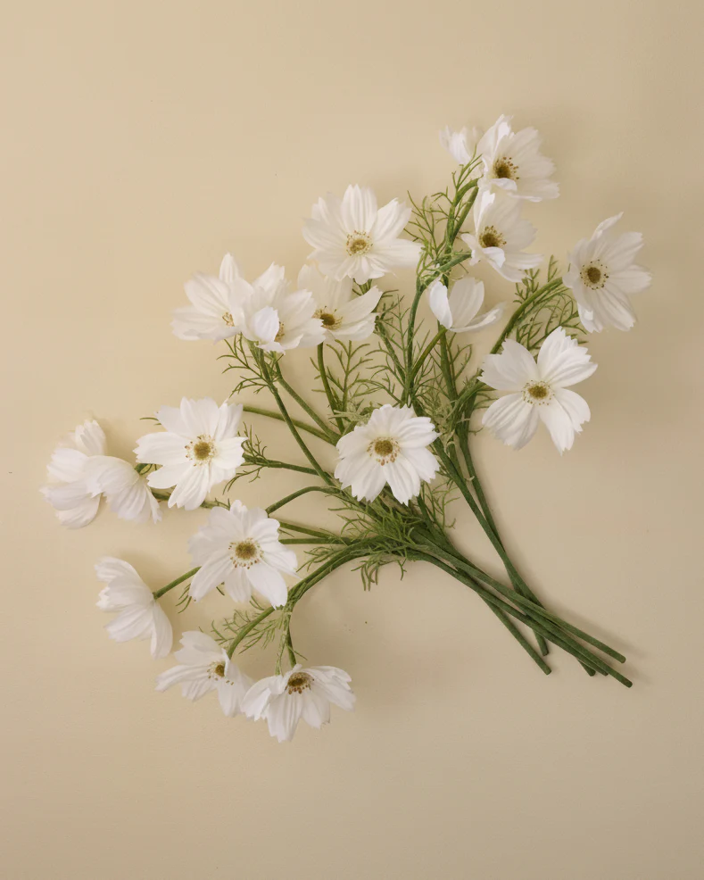 White Cosmos Bundle