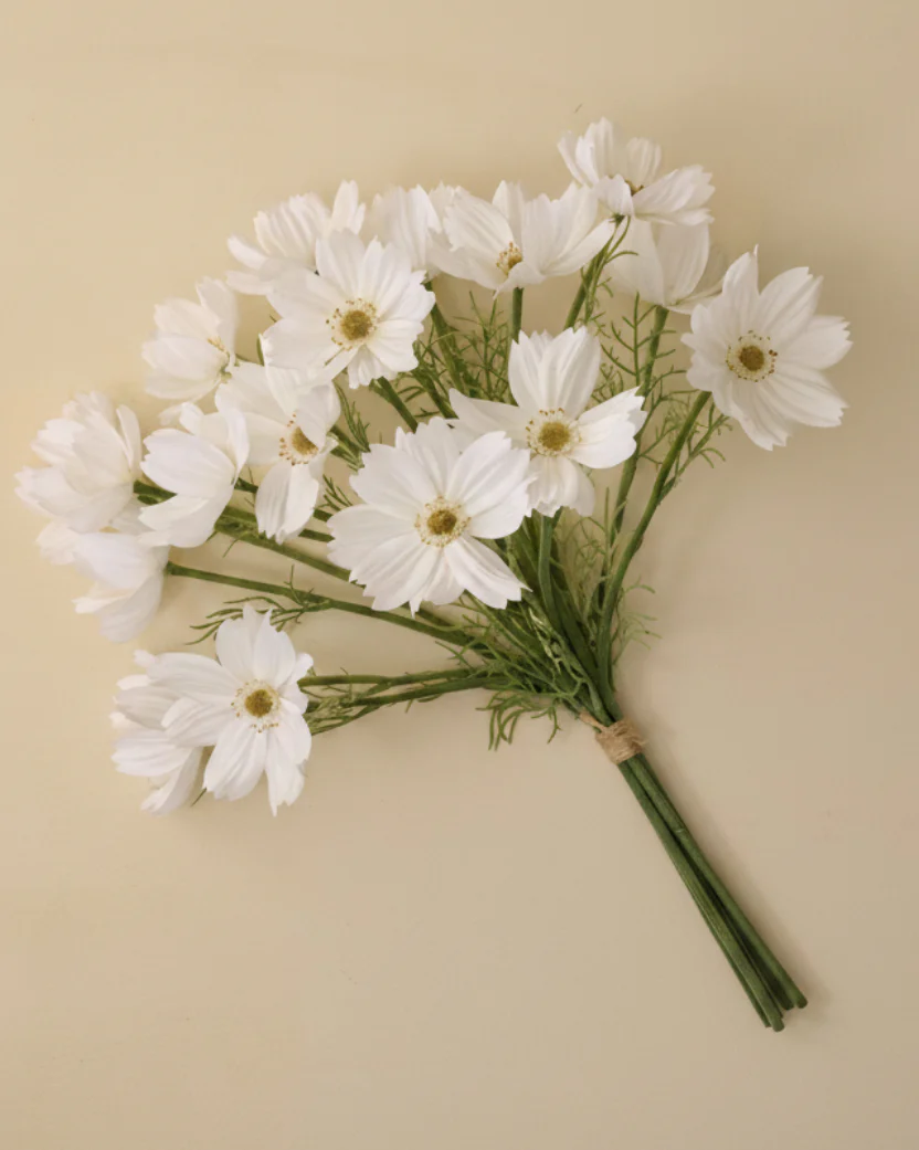 White Cosmos Bundle - Image 2