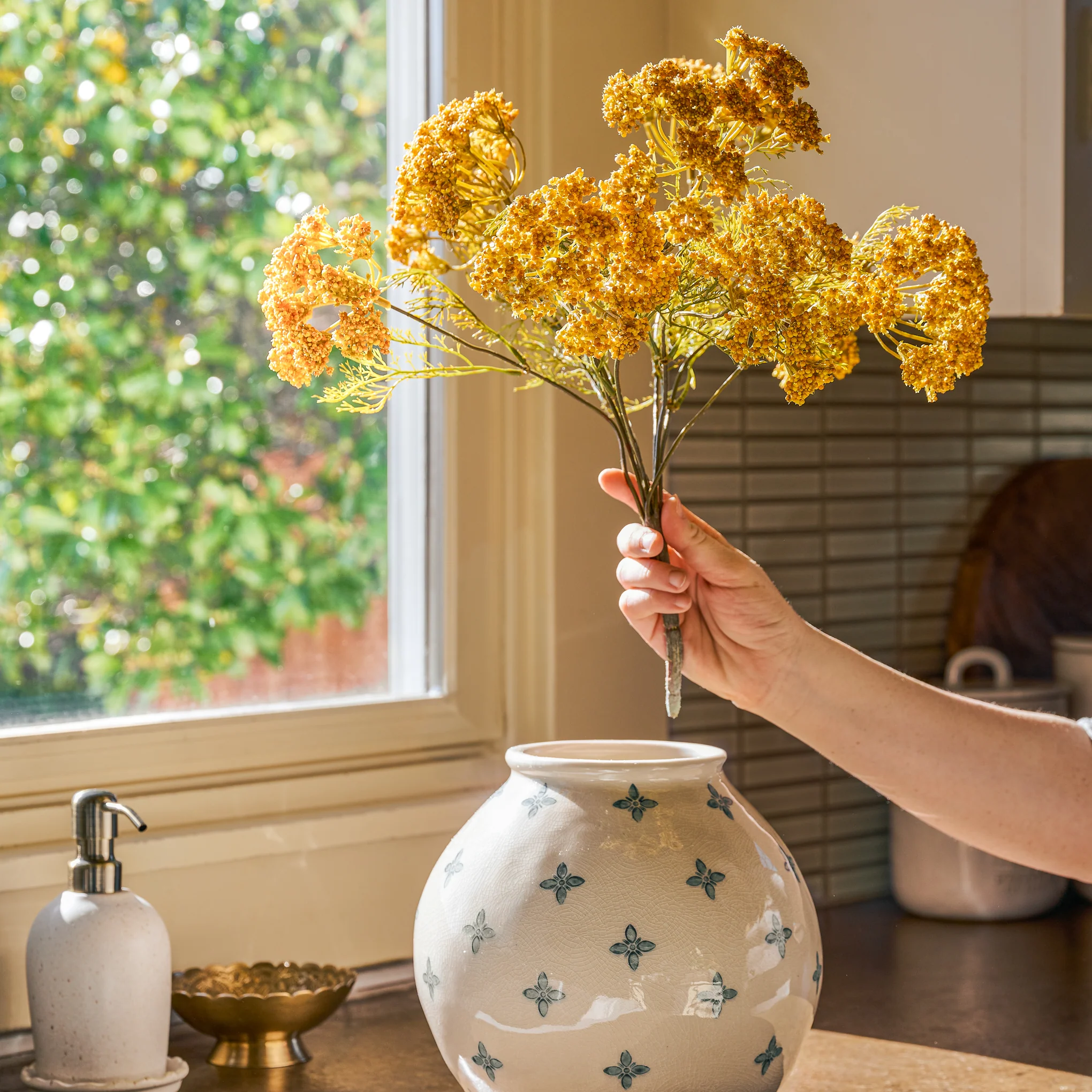 Yellow Queen Anne Lace Bush - Image 3