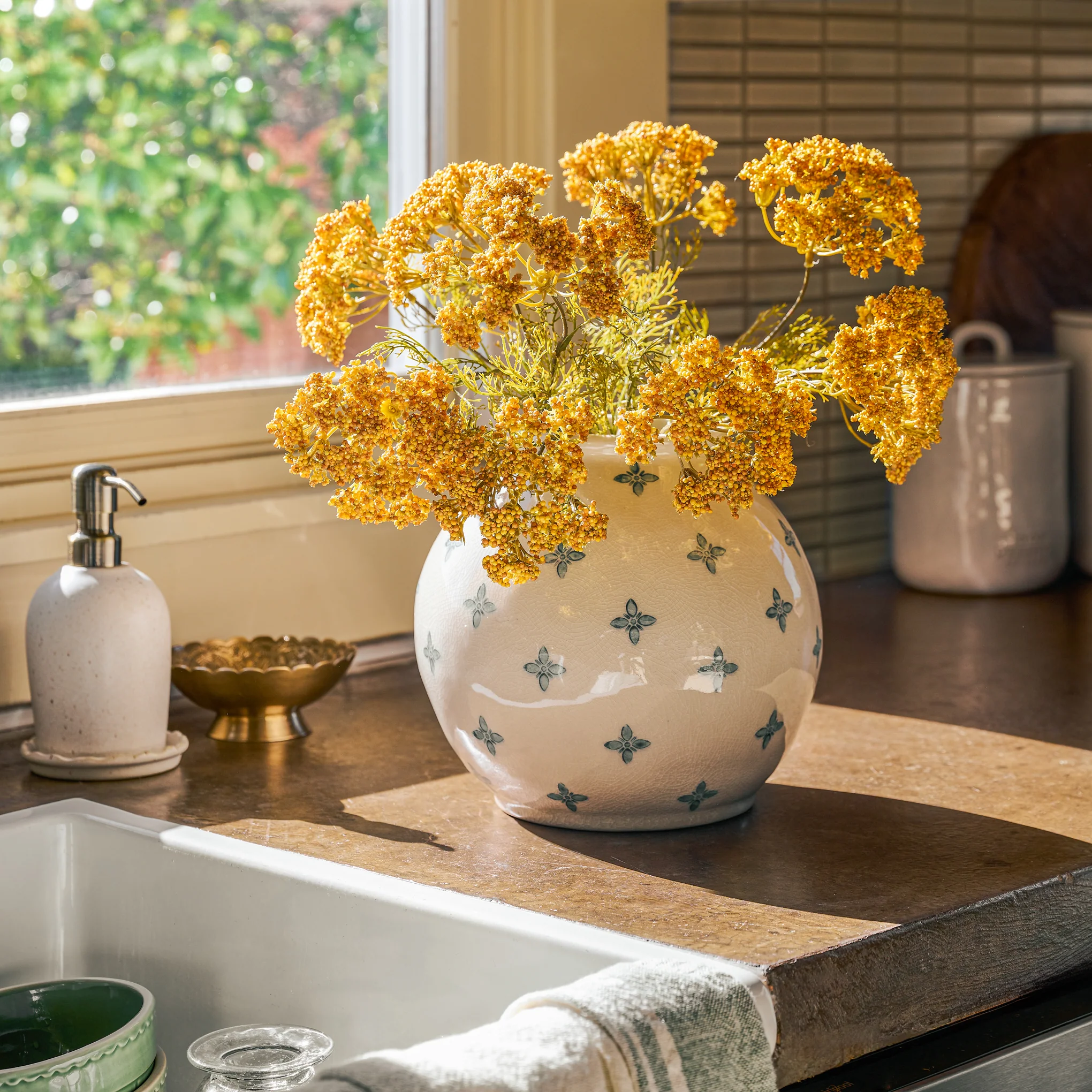 Yellow Queen Anne Lace Bush - Image 4
